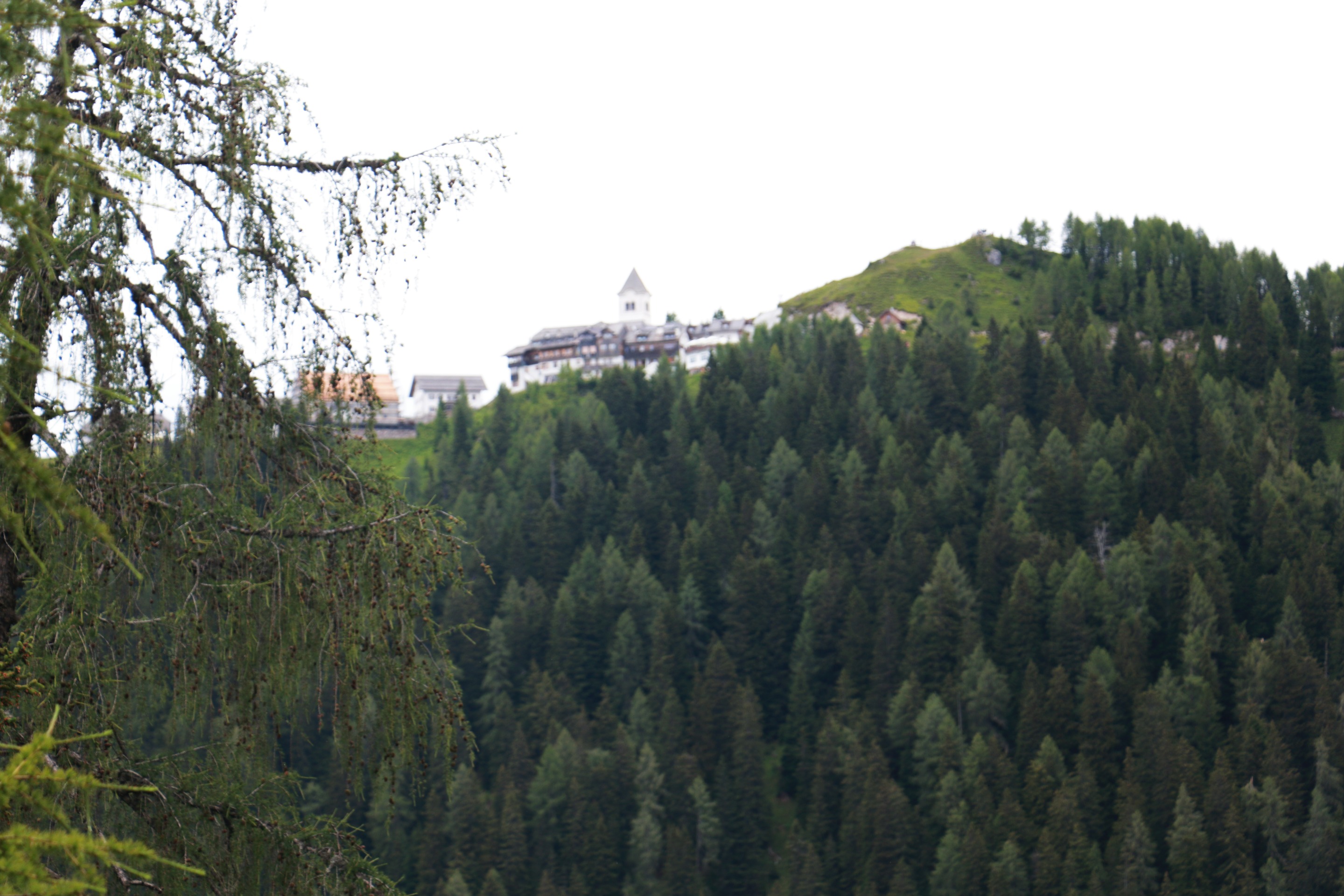 IMG_2953.JPG