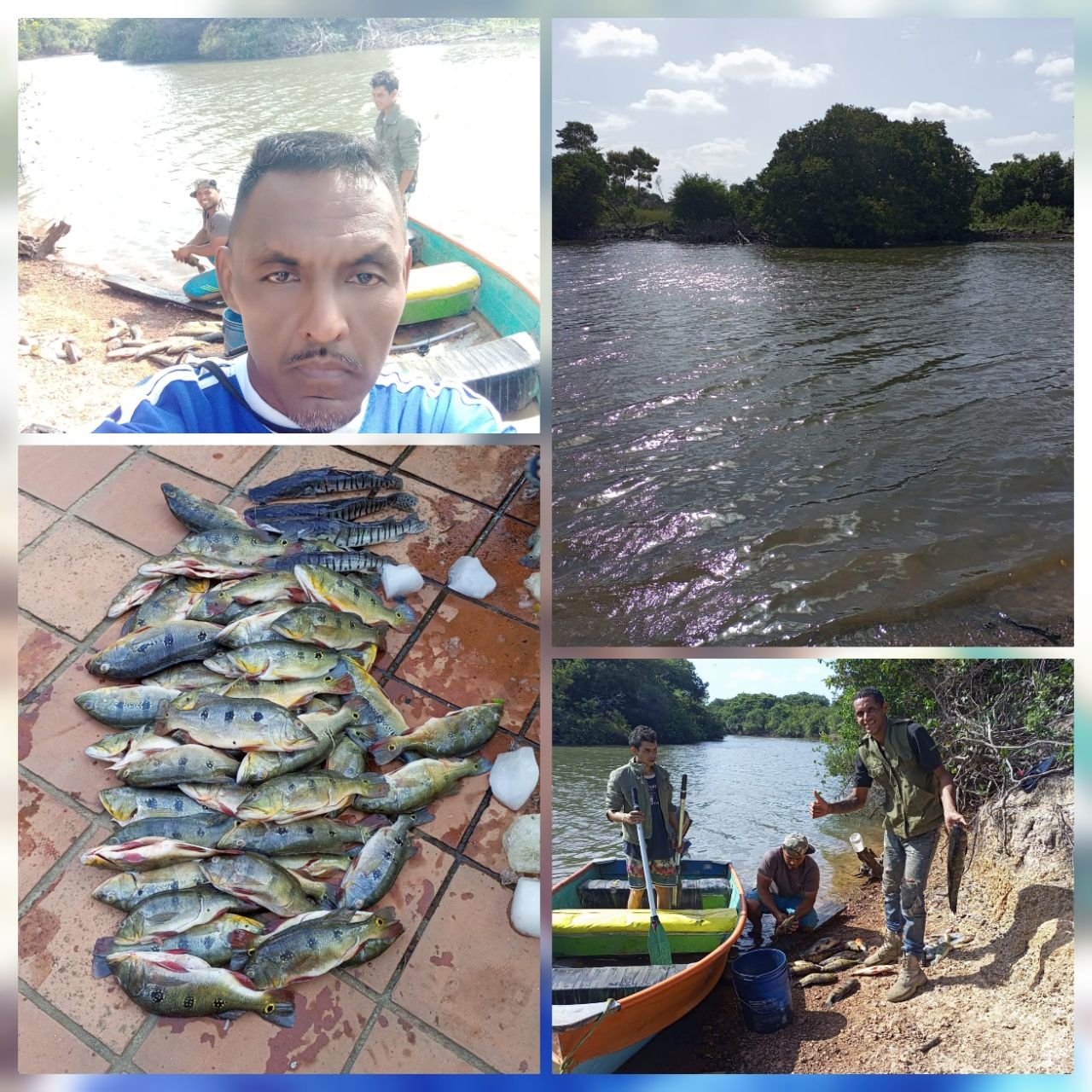 photocollage_2023662219192.jpg