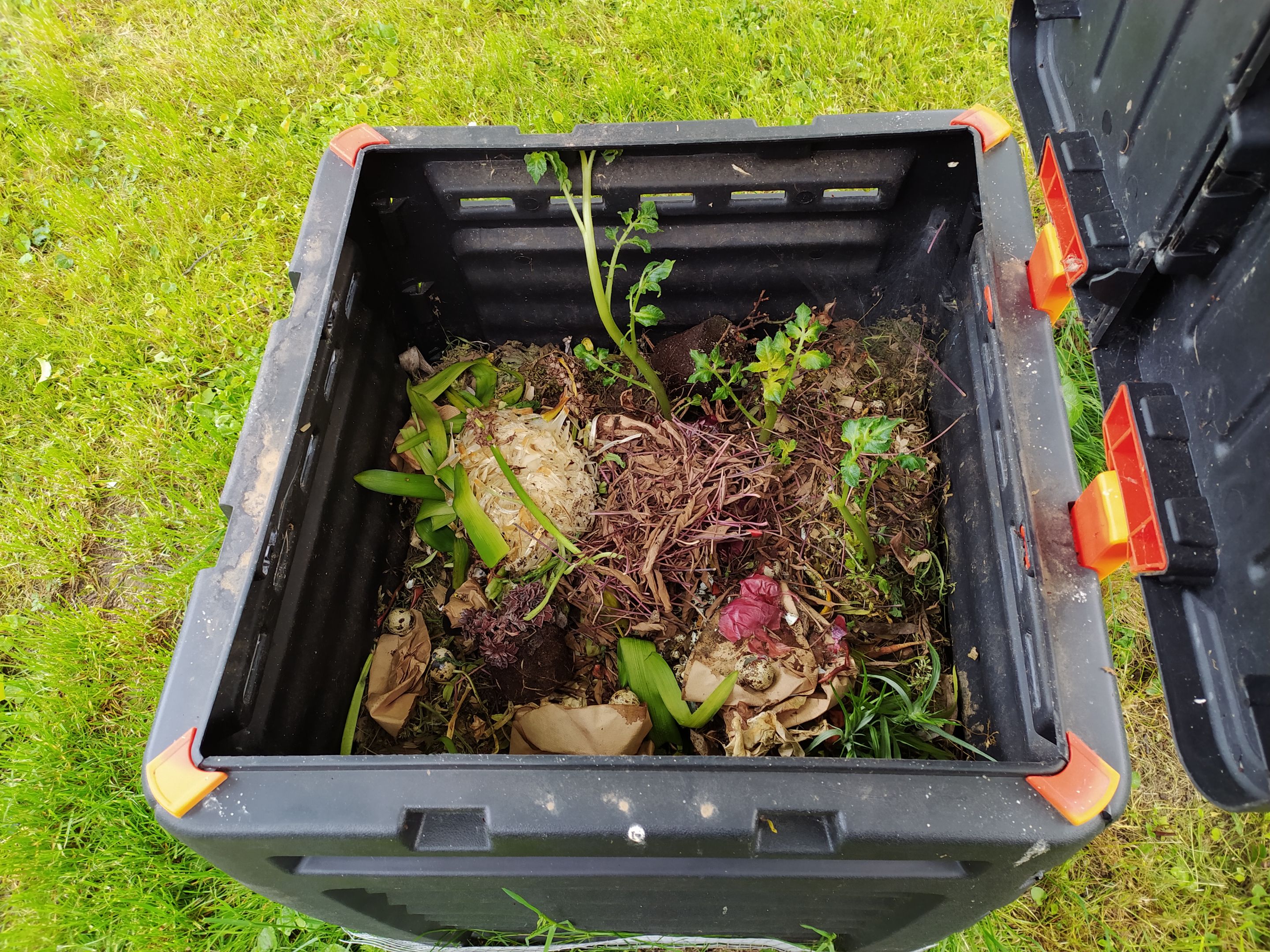Cooked foods and other stuff that rats would love go here. The bin is secured with mesh, so no rodent can get in.