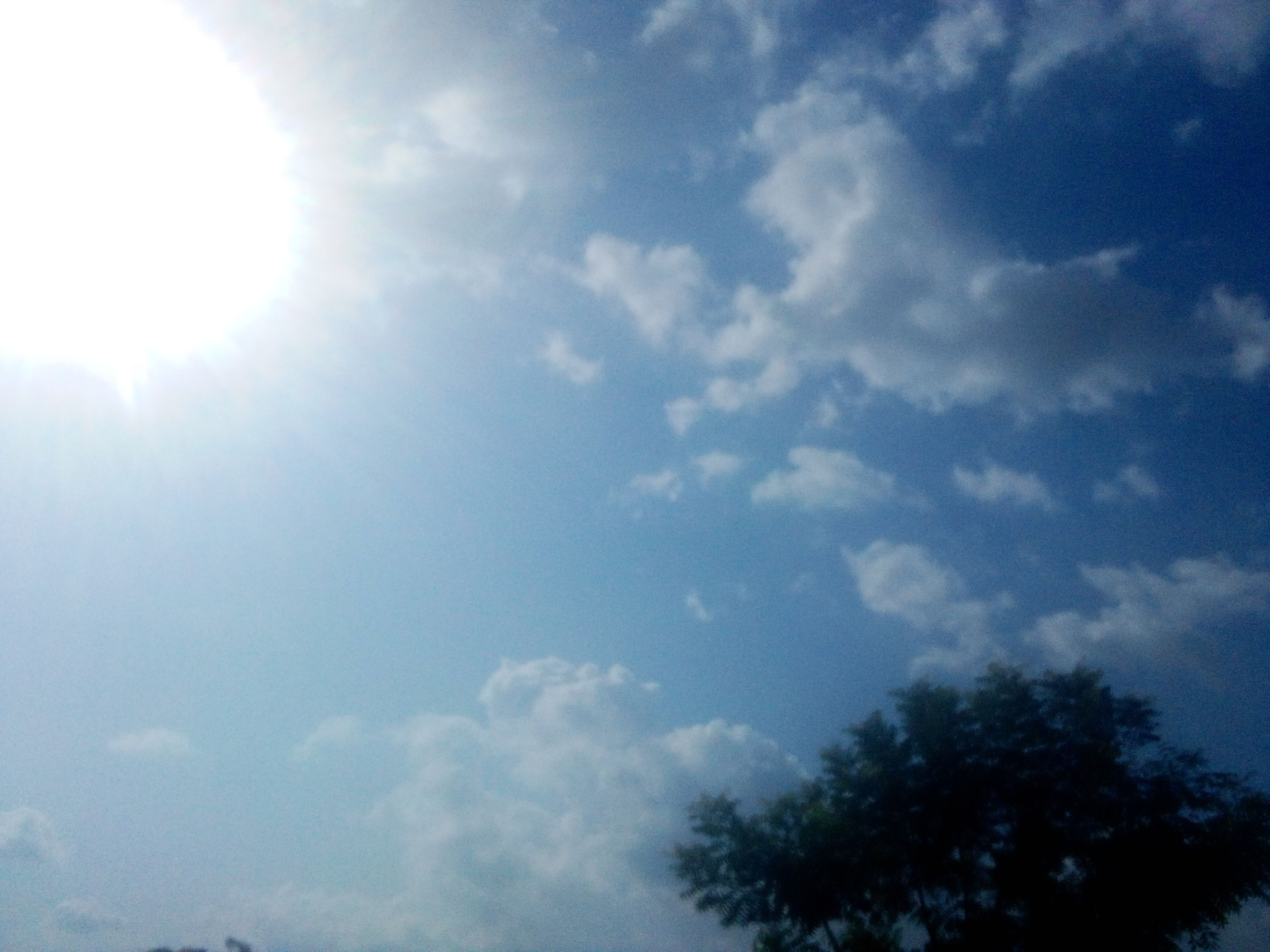 IMG_20211110_150942_514.jpg