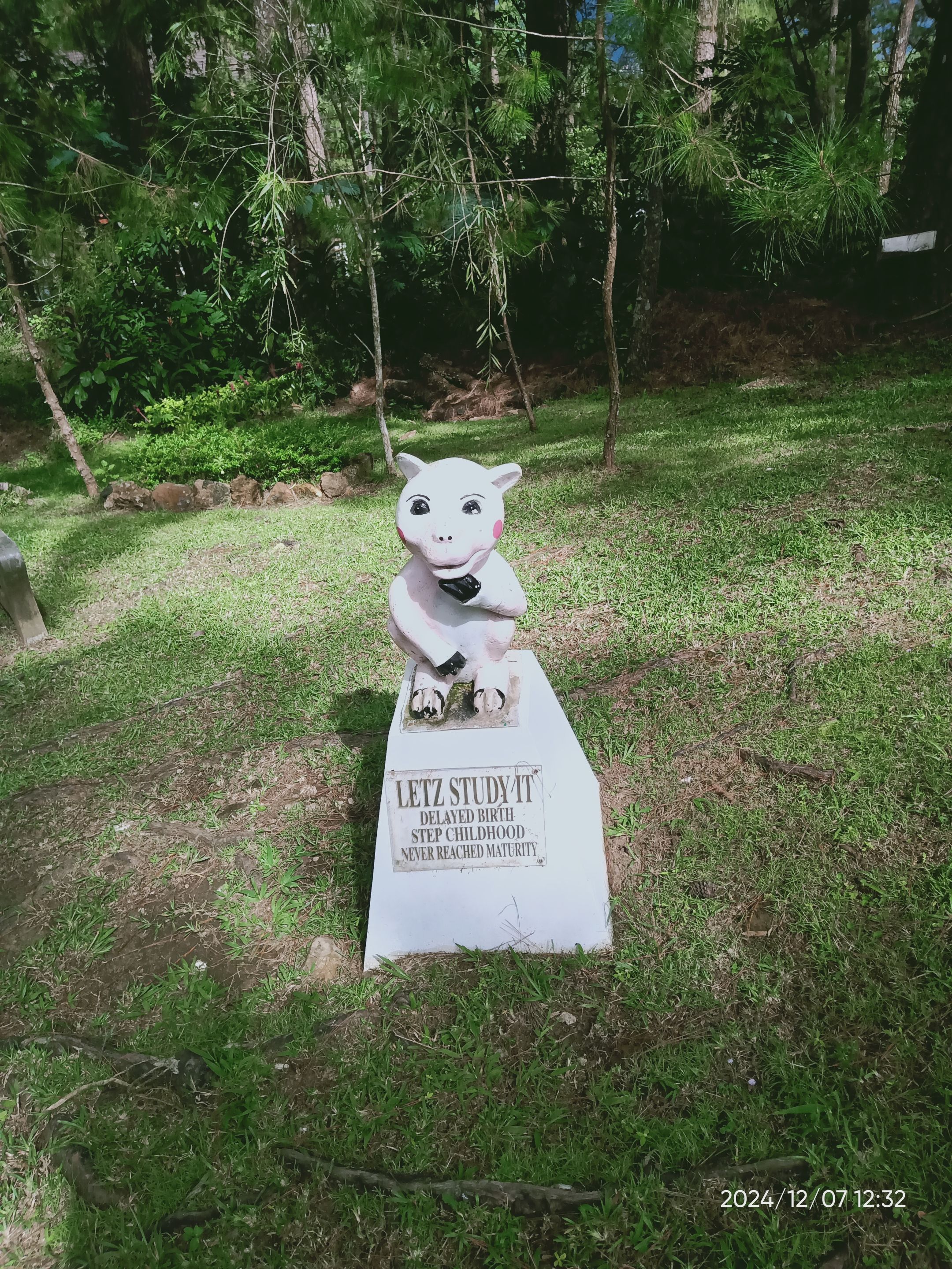 IMG20241207123236.jpg