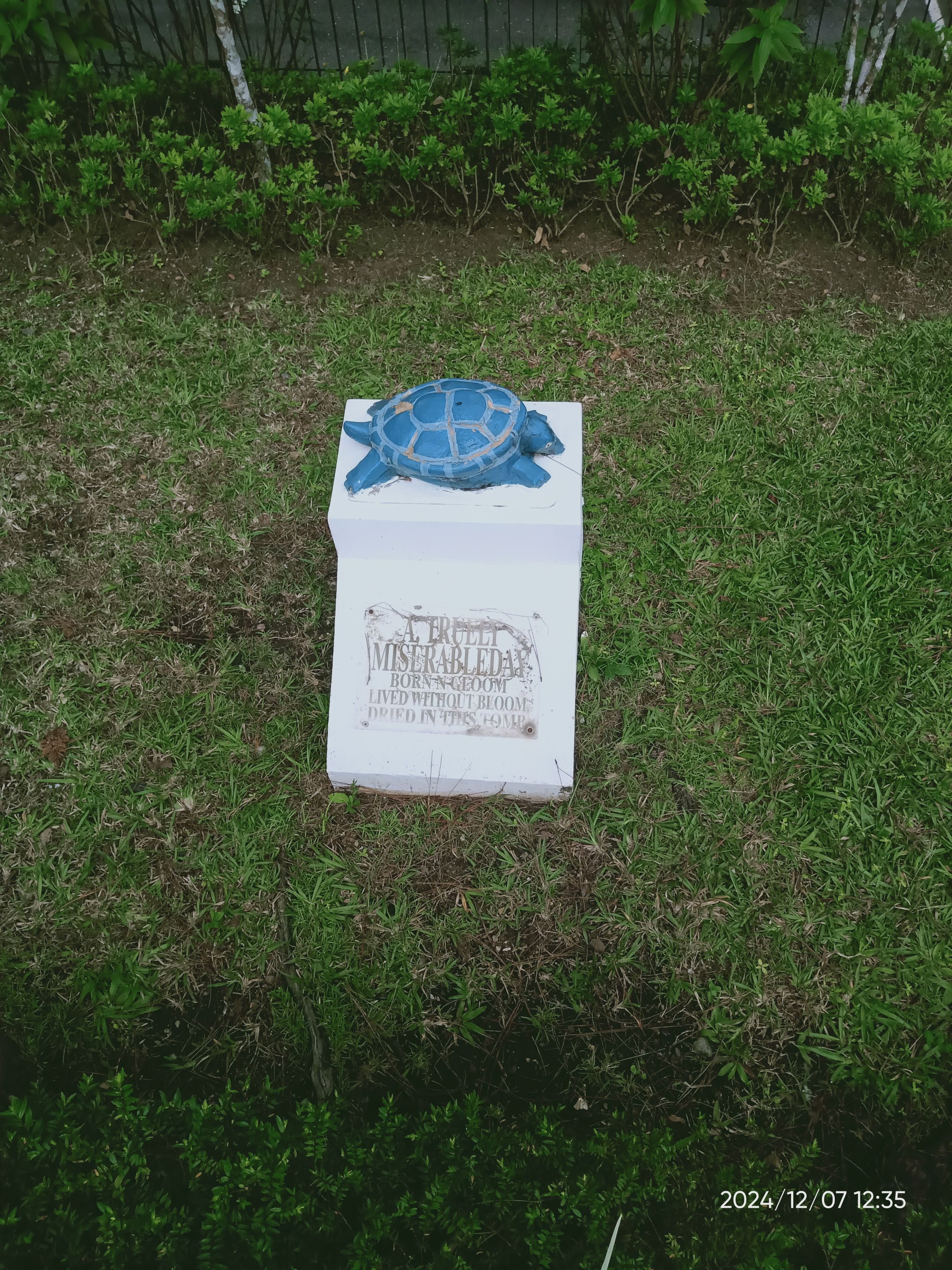 IMG20241207123506.jpg