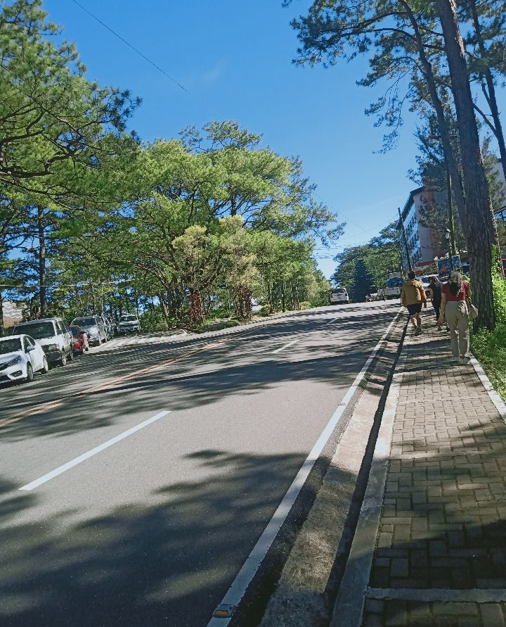 Gallery_1747795636056.jpg