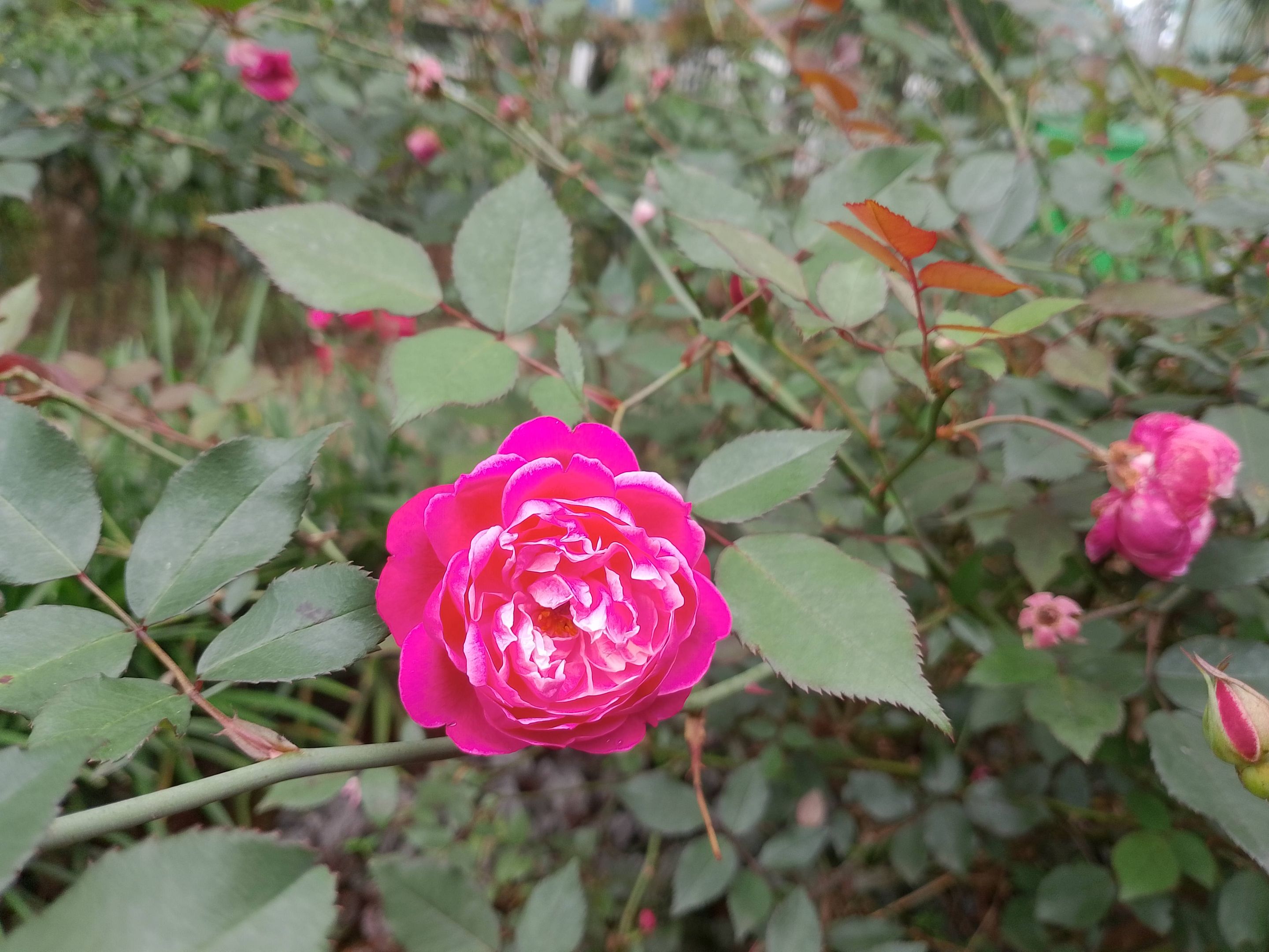 IMG_20250910_153407.jpg