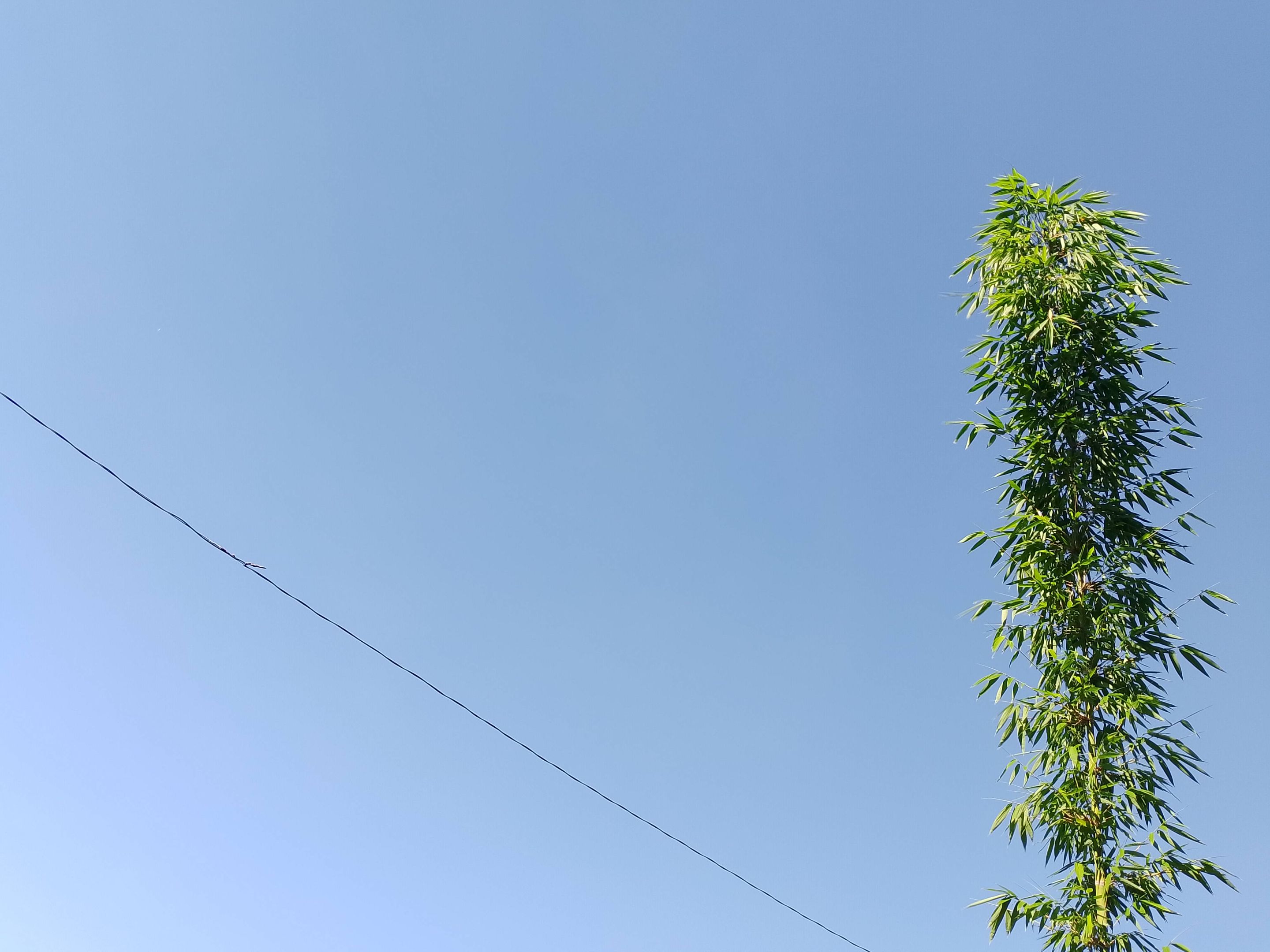 IMG_20250804_072507.jpg