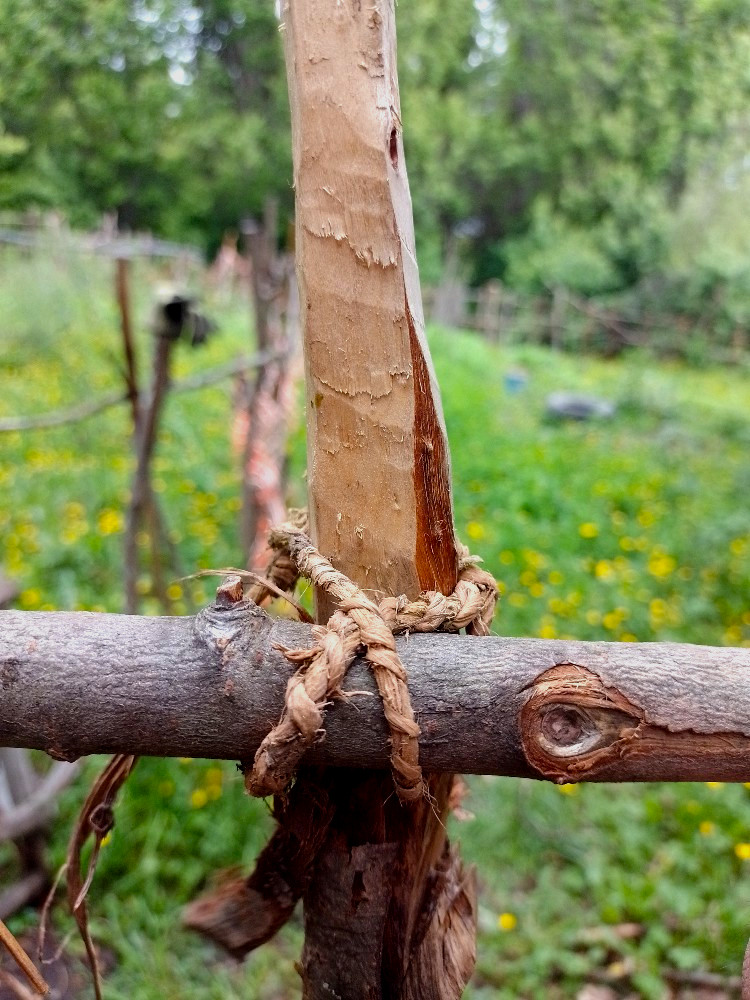 fence knot.jpg