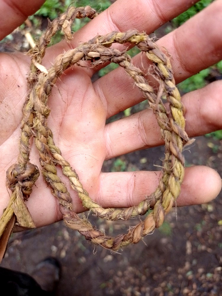 cordage ready.jpg