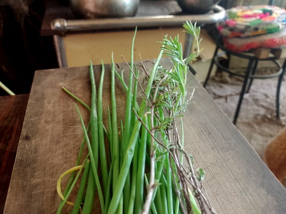 chives and thyme.jpg