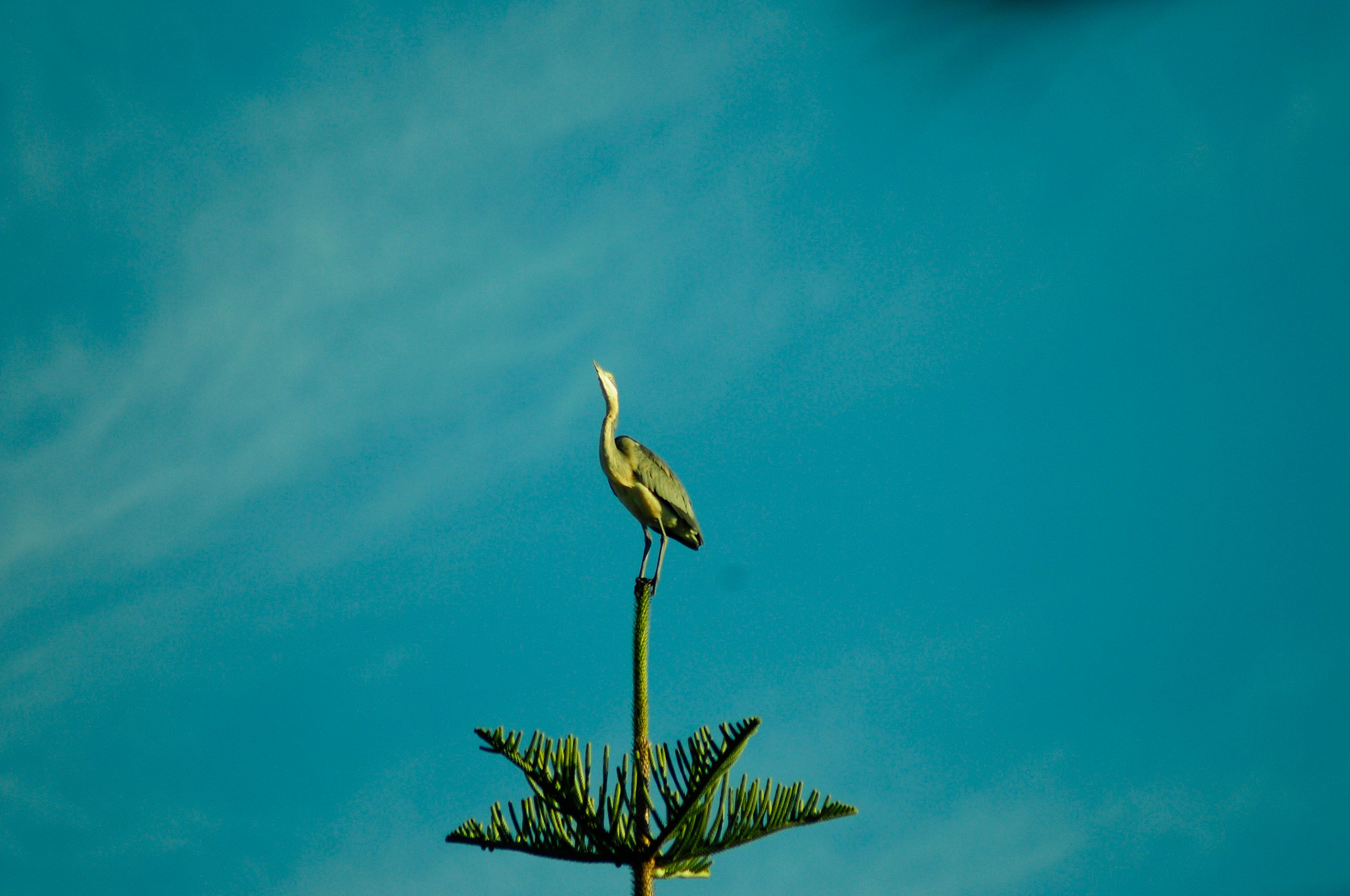 _DSC8142.JPG