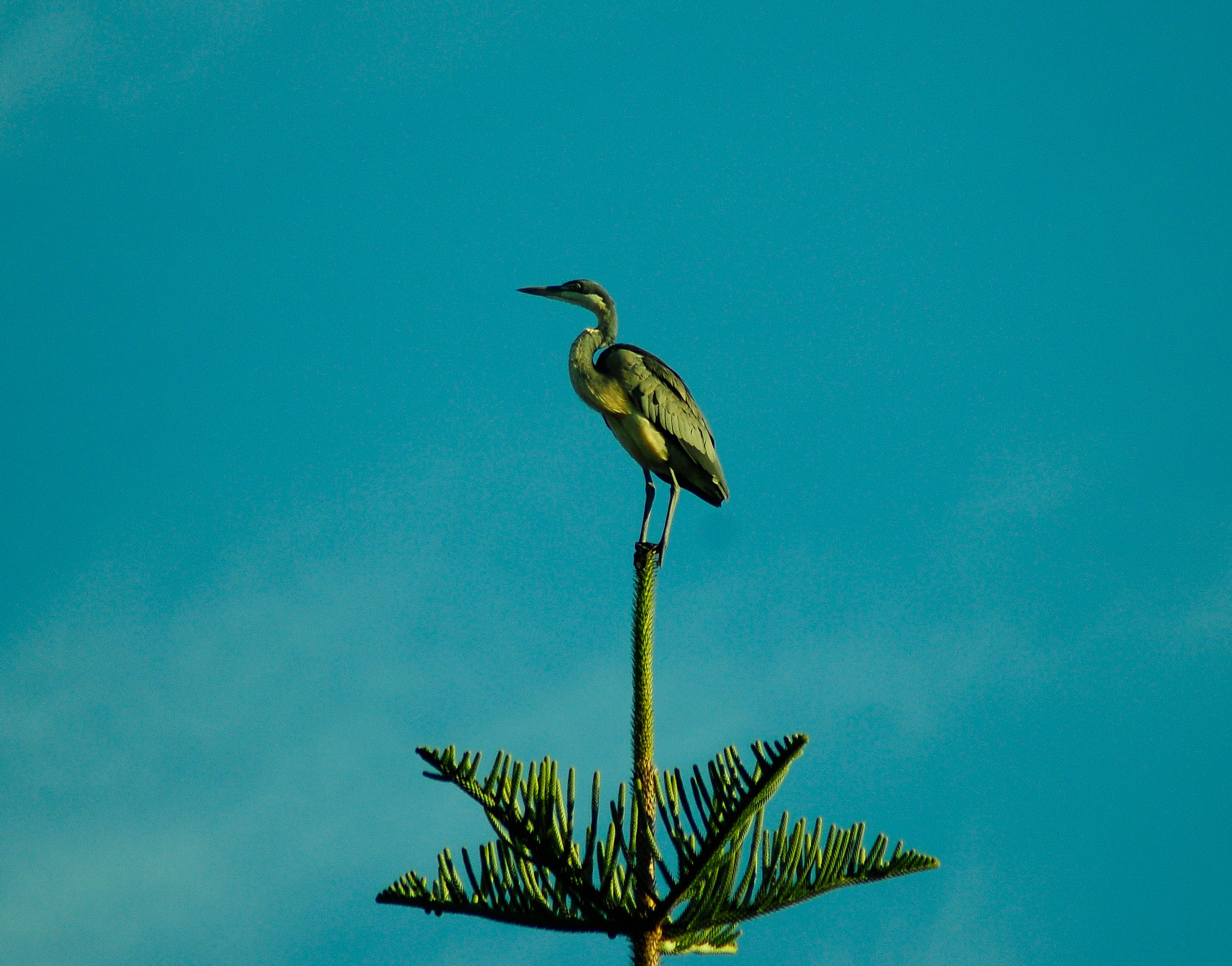 _DSC8144.JPG
