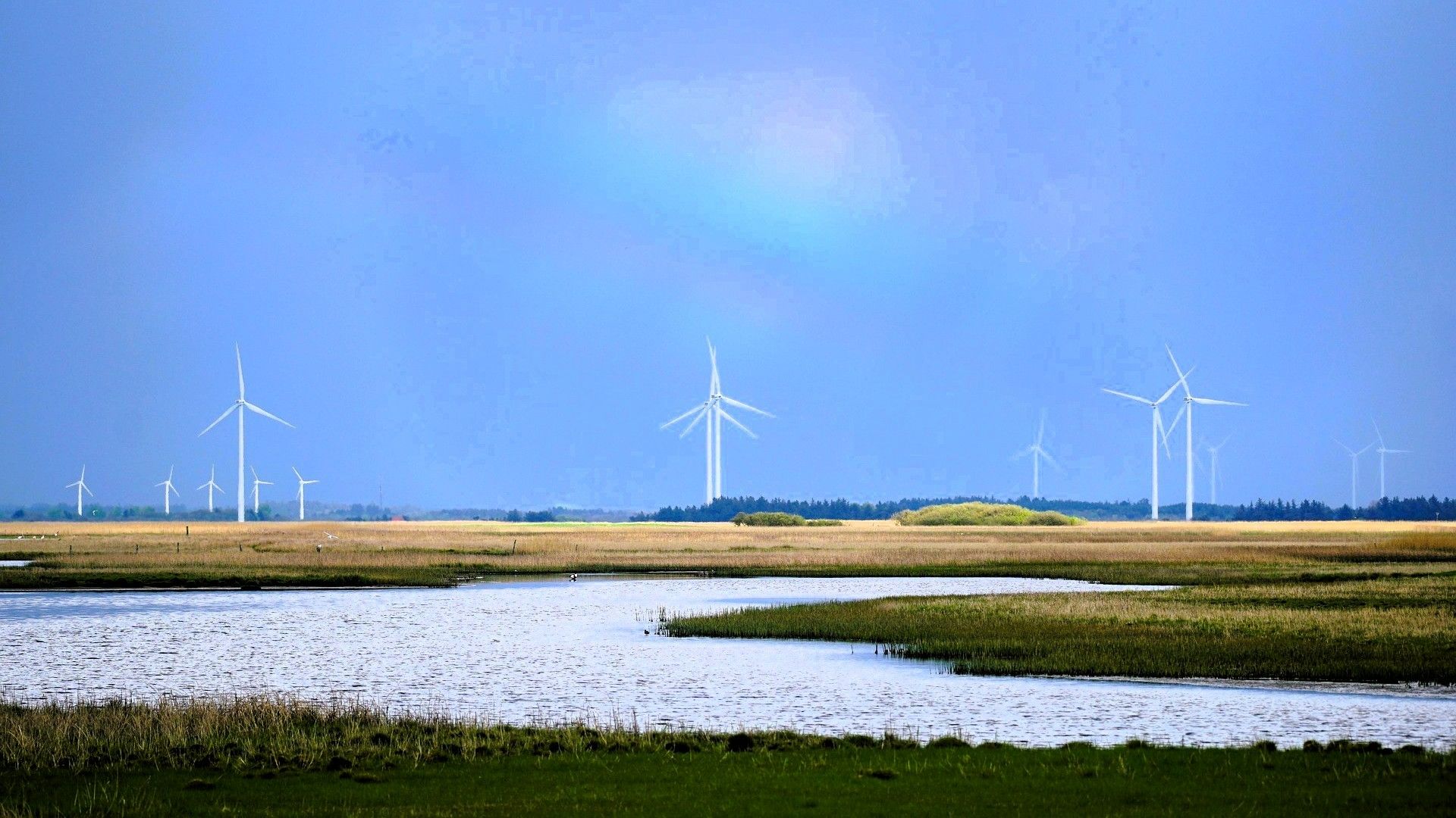 wind-turbines-6352032_1920.jpg