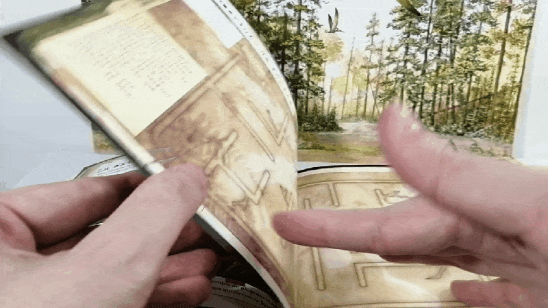 gif 1.gif