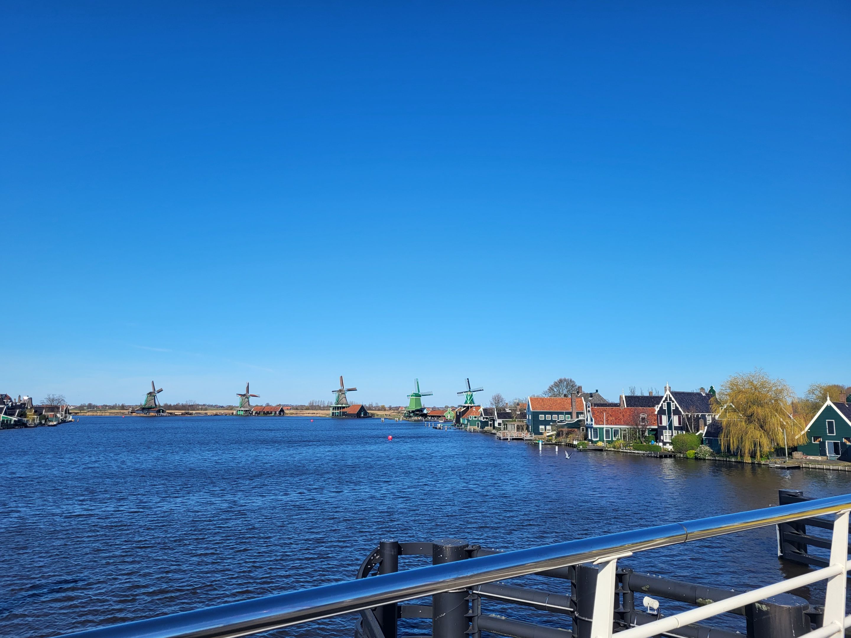 20230403_163721.jpg