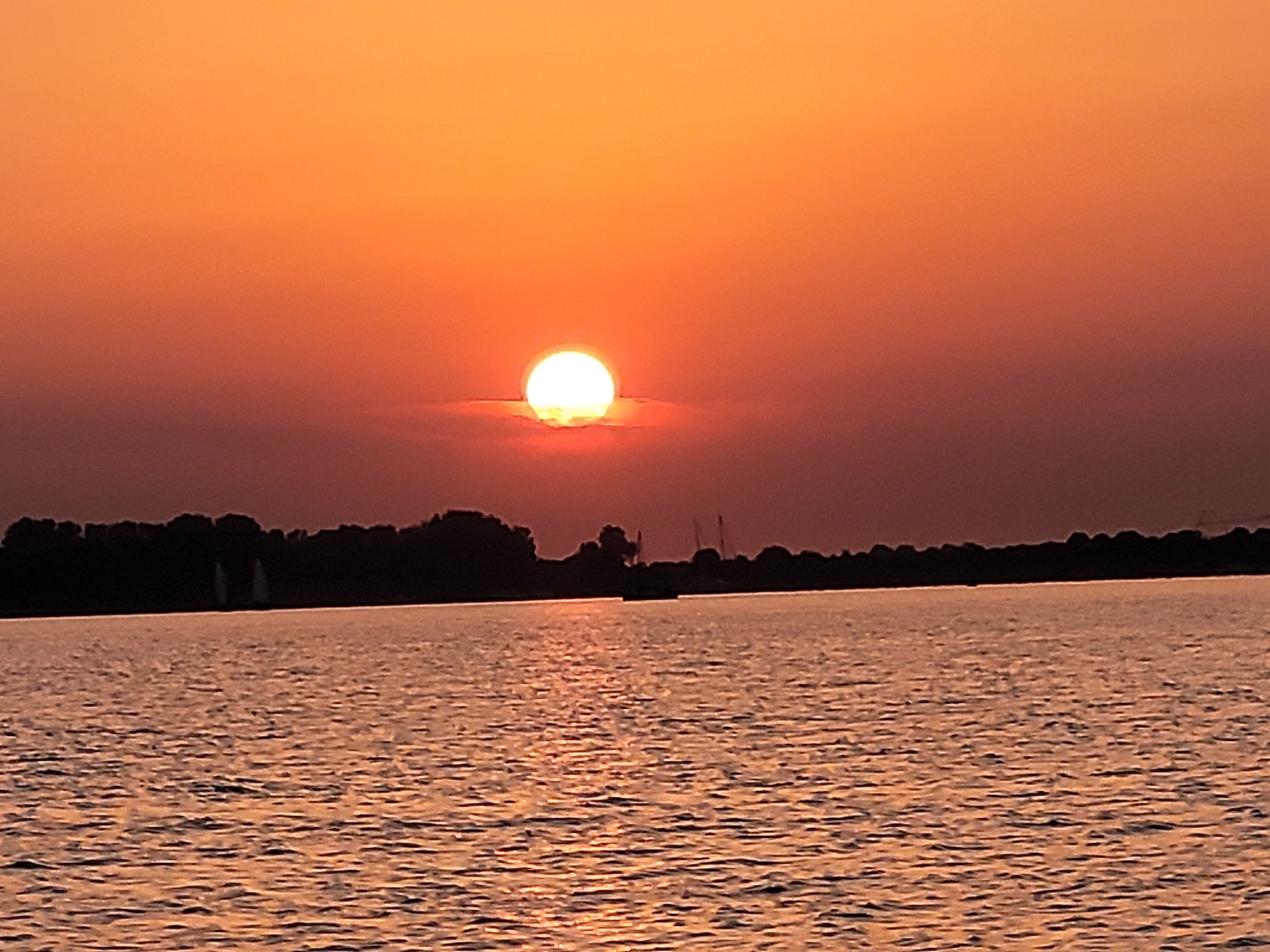 20240731_212123.jpg