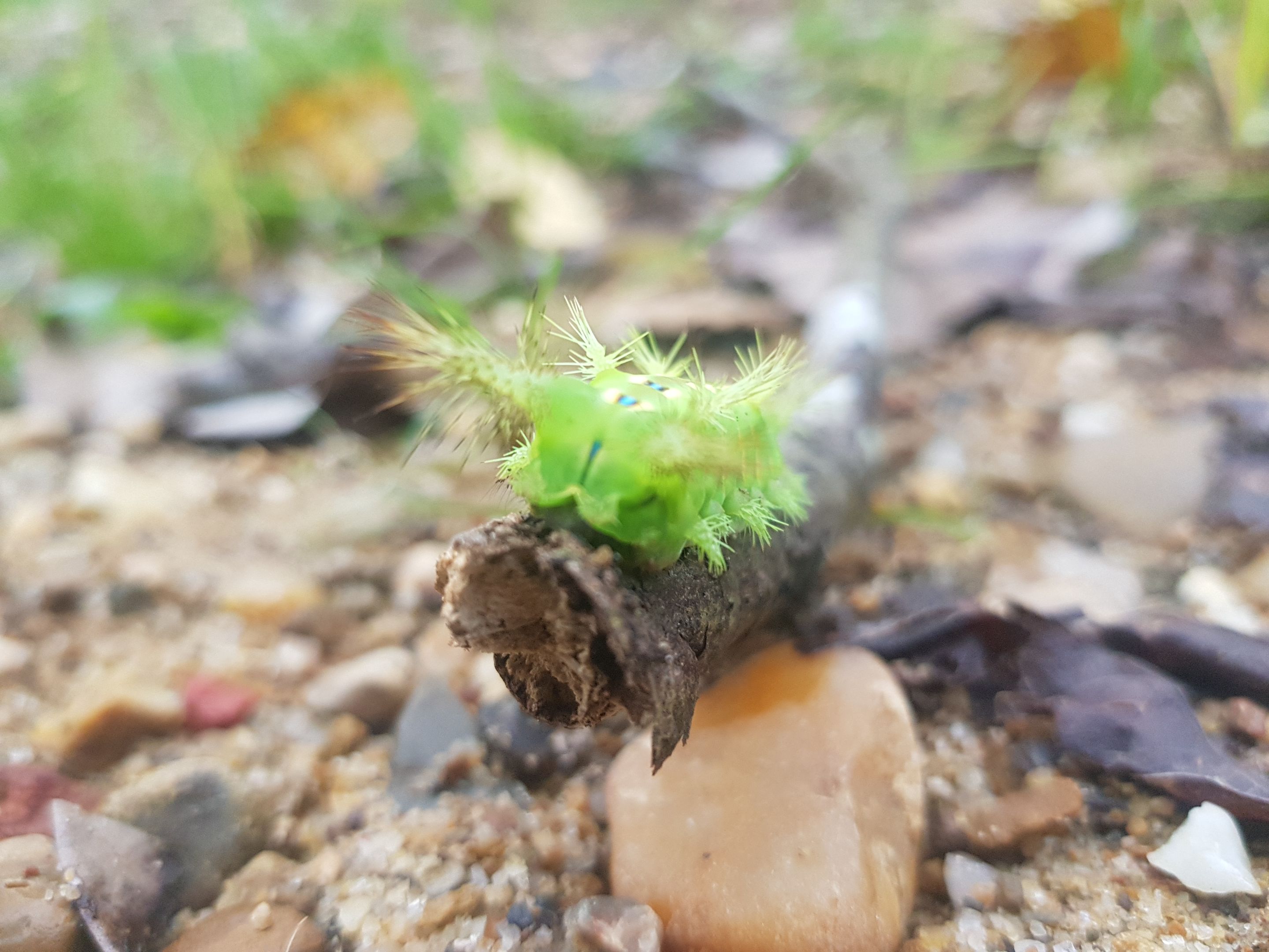 20220124_181645.jpg