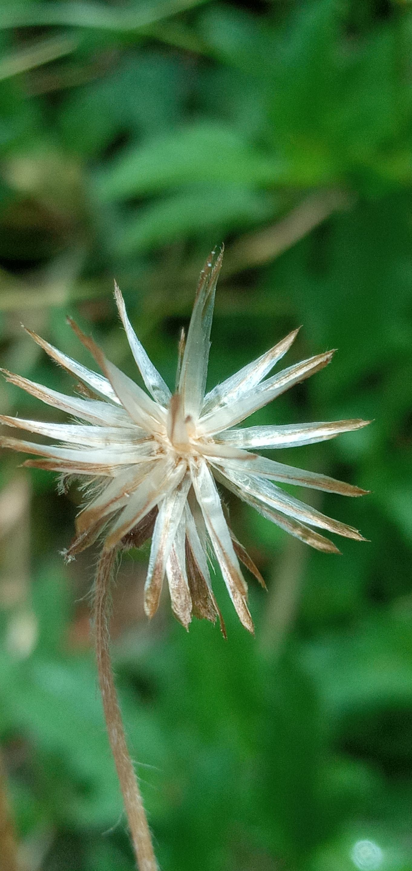 20250208_124711.jpg