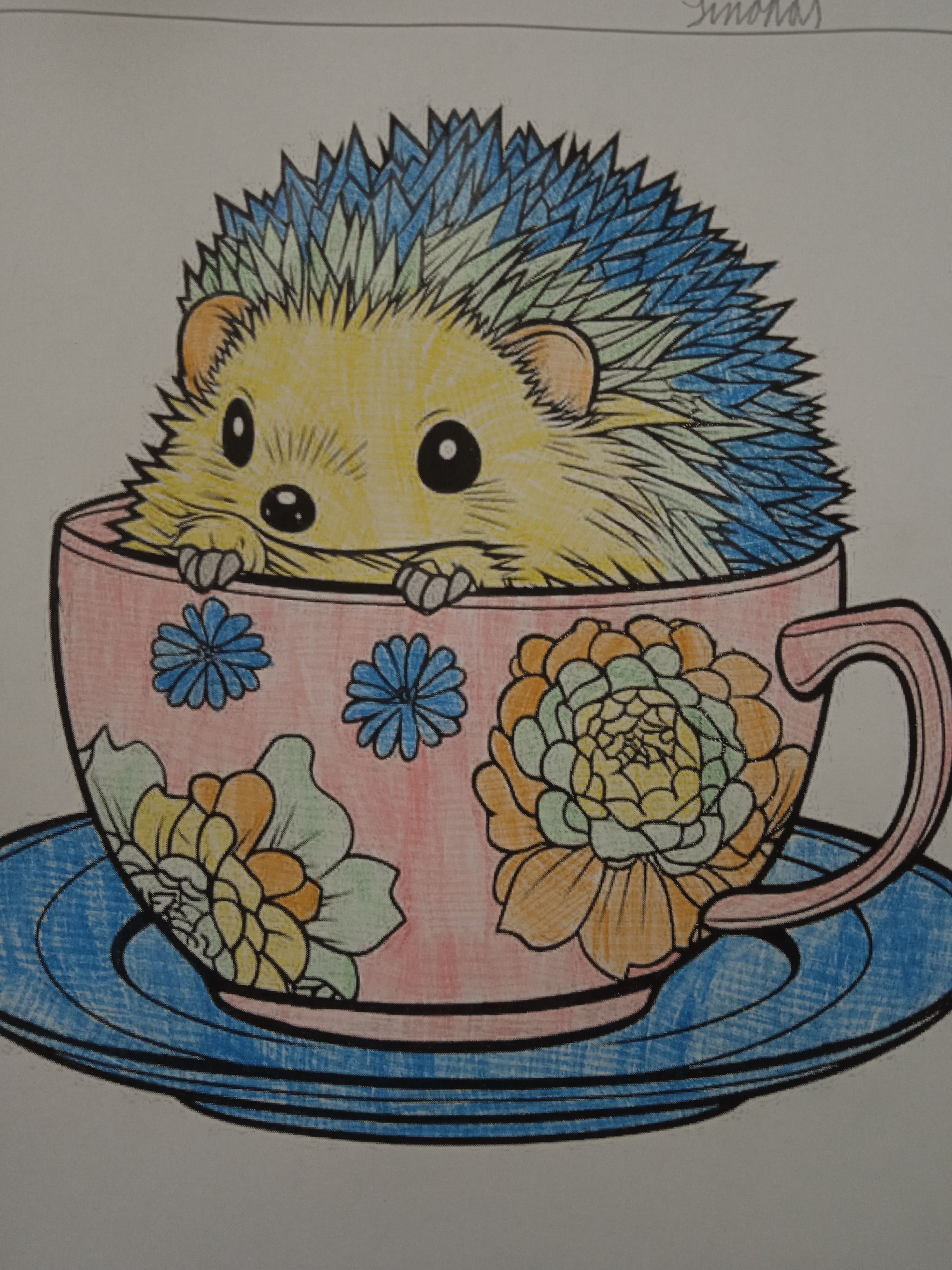 IMG_20250908_091726…
Payout: 1.087 HBDColoring a hedgehog.
2025-09-09 05:00![IMG_20250908_091726.jpg