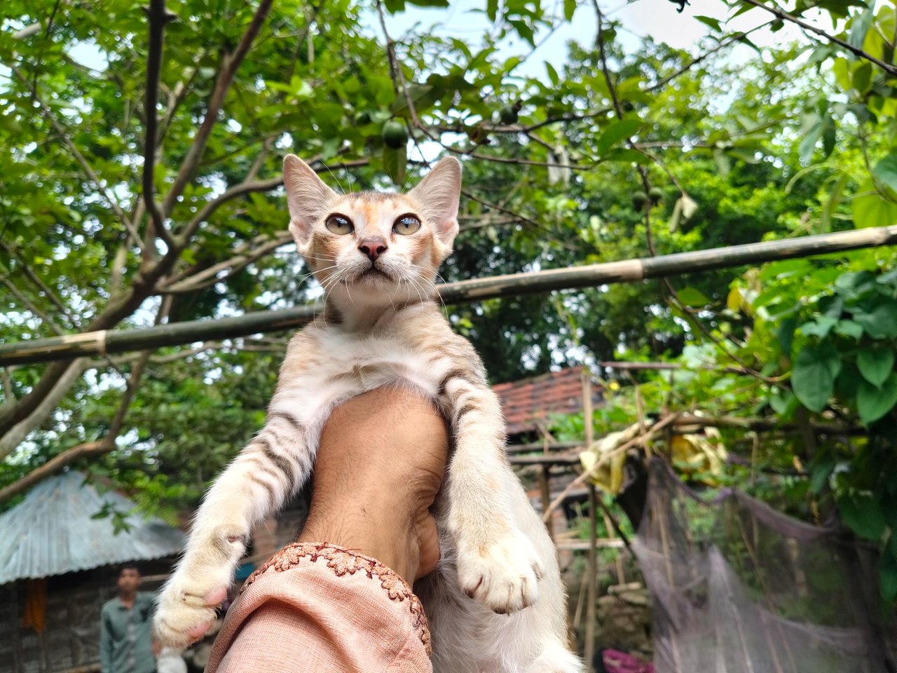 Some moments with my favorite two cats