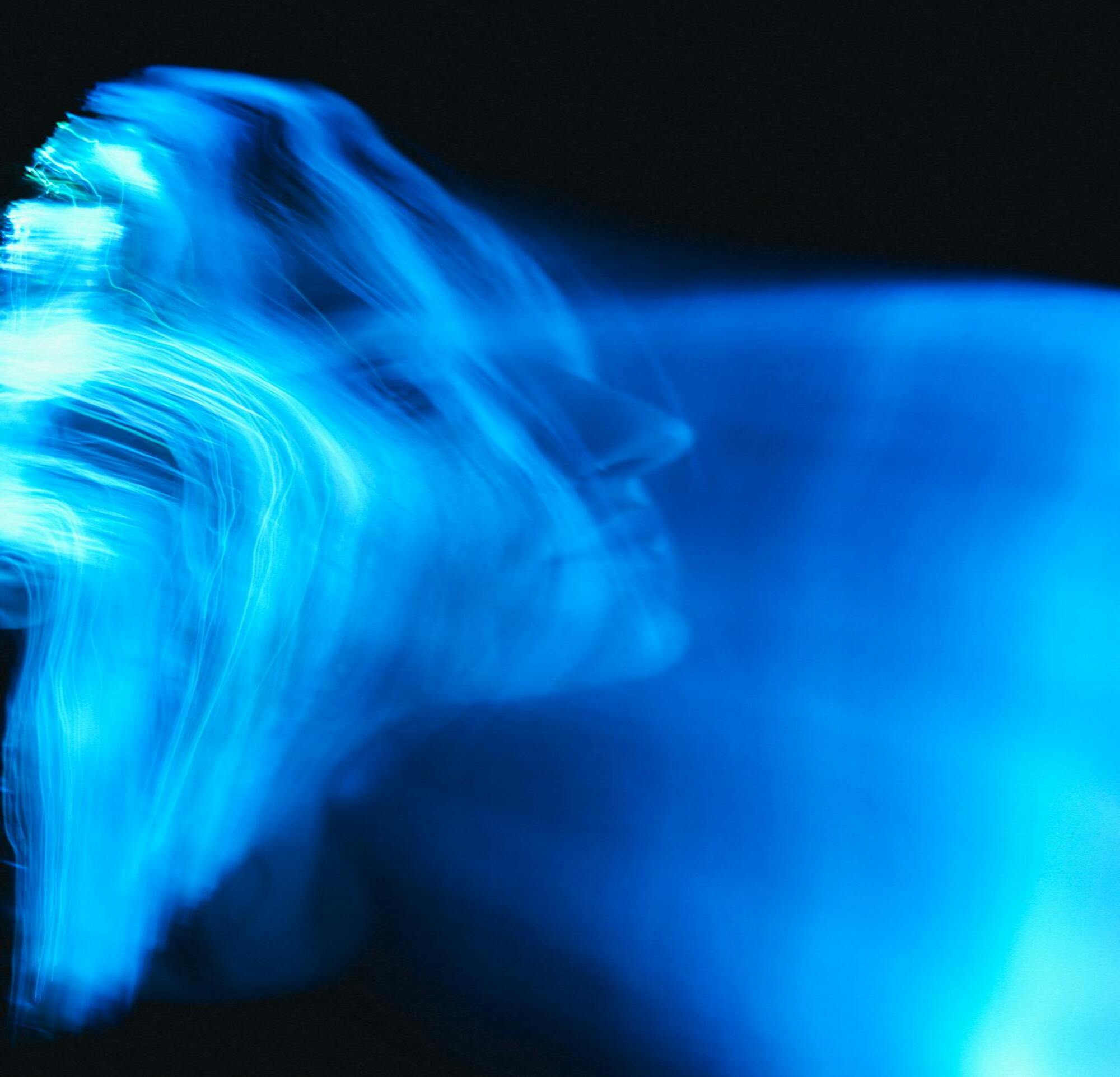 pexels-didsss-29140634 (5) (2).jpg