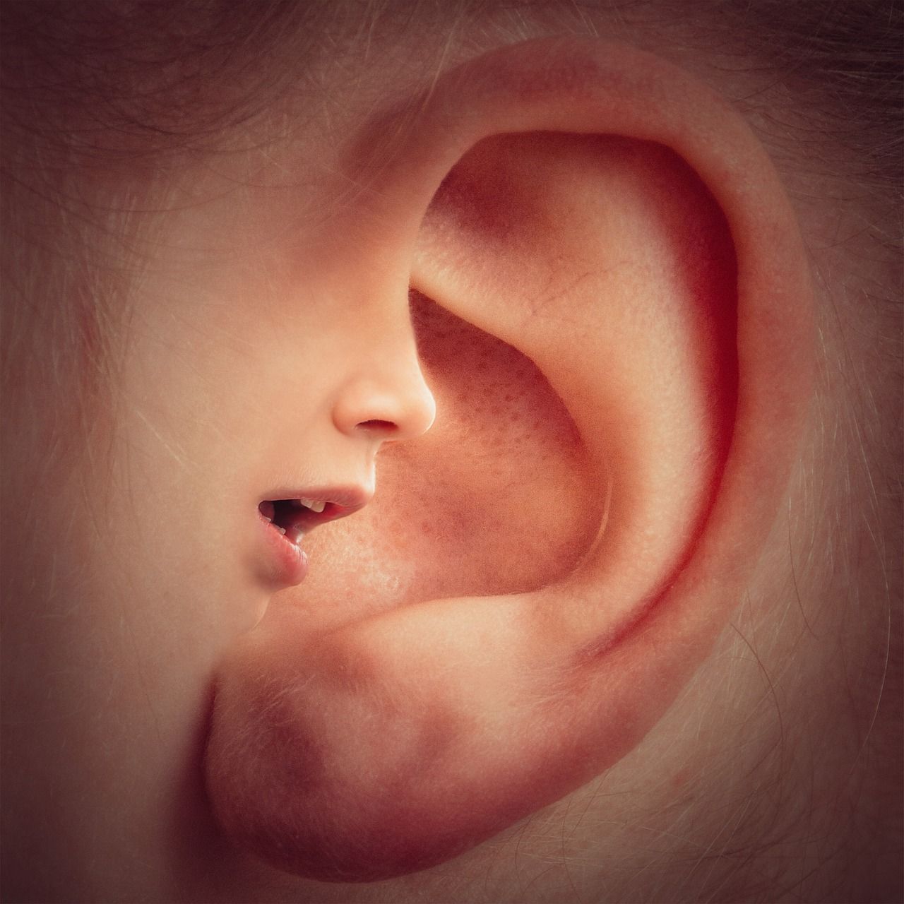 ear-3971050_1280.jpg