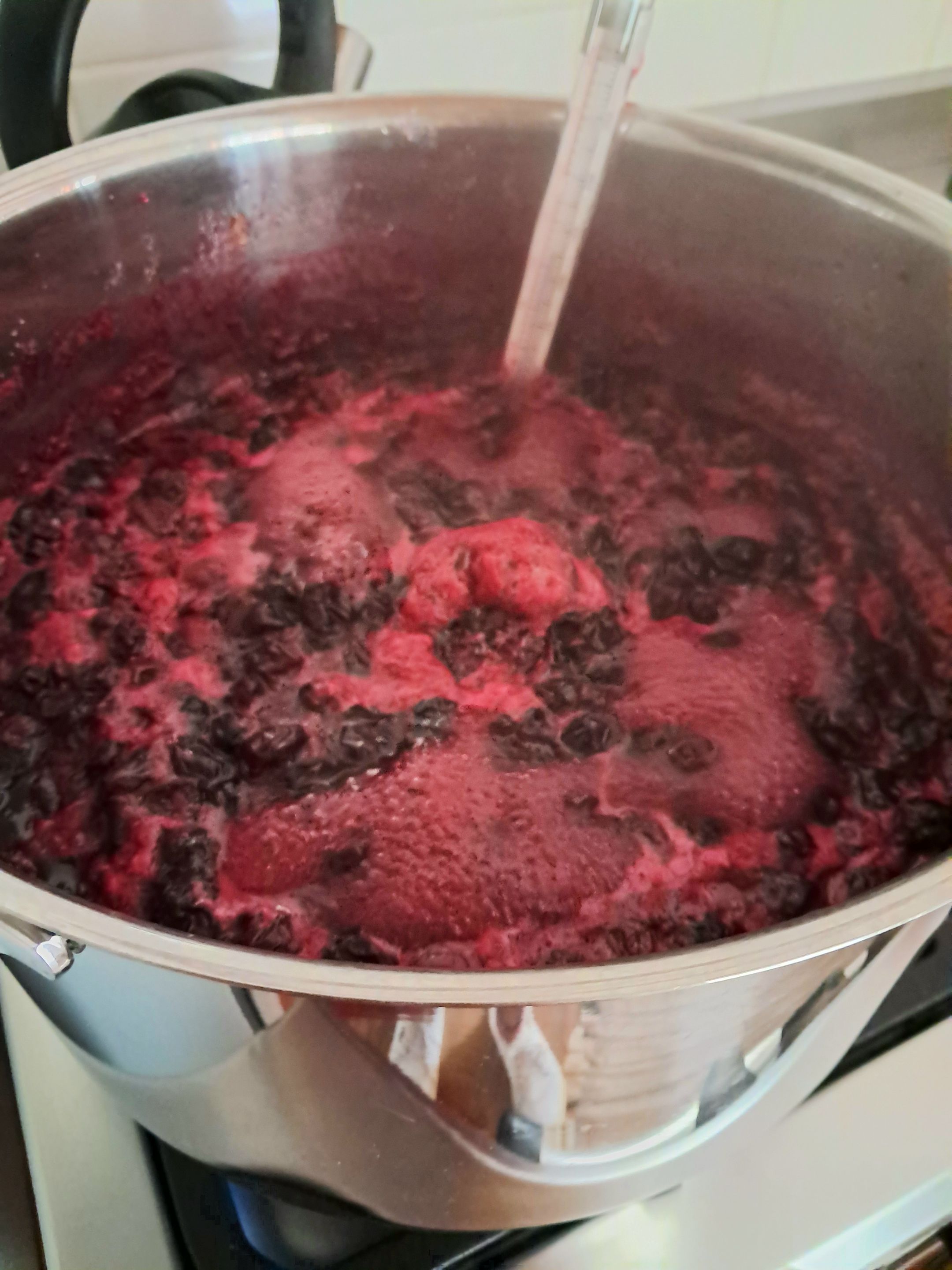 Blueberries, sugar and lemon juice simmering away, with the thermometer keeping tabs
