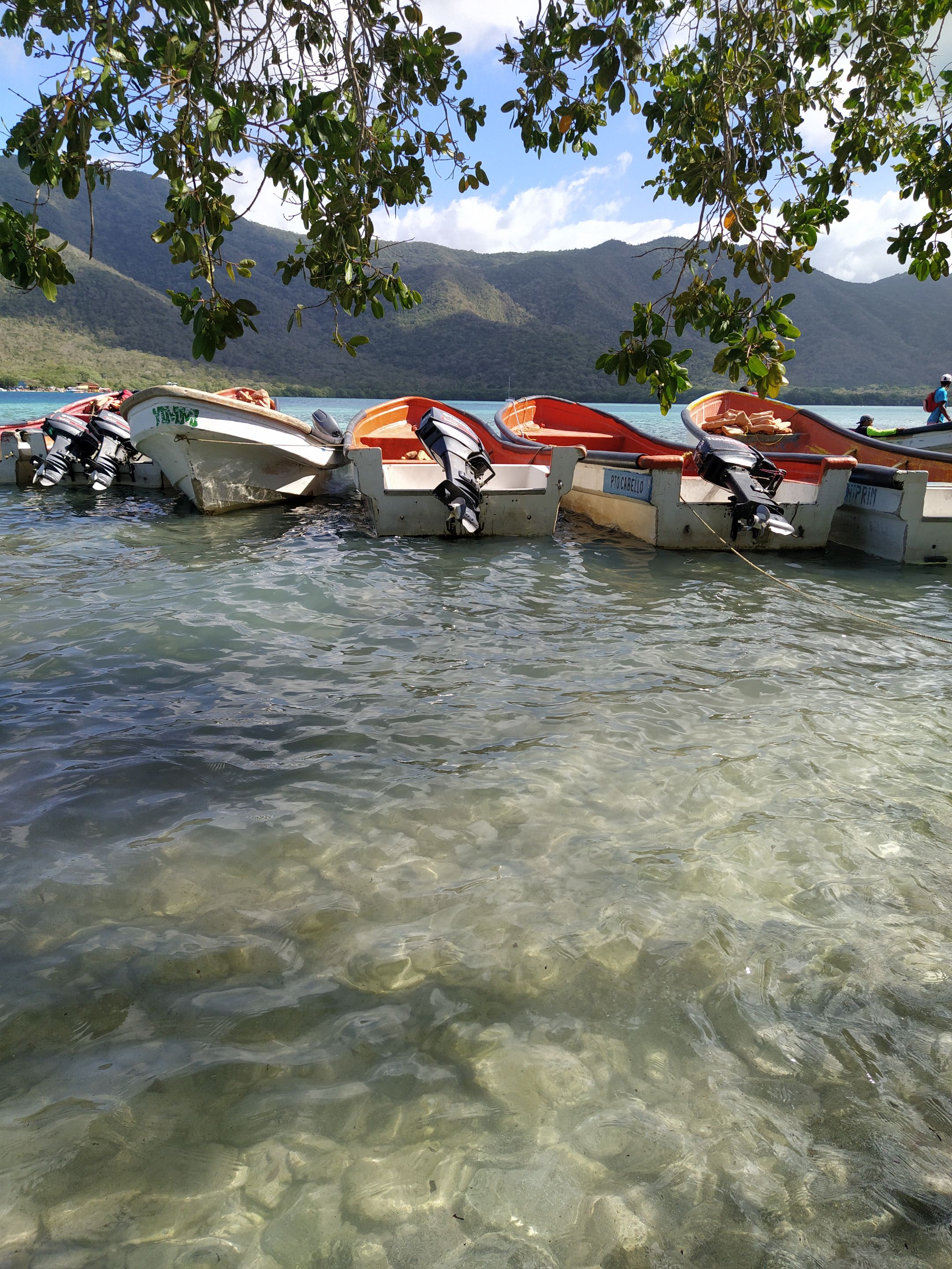 IMG_20220108_143210.jpg