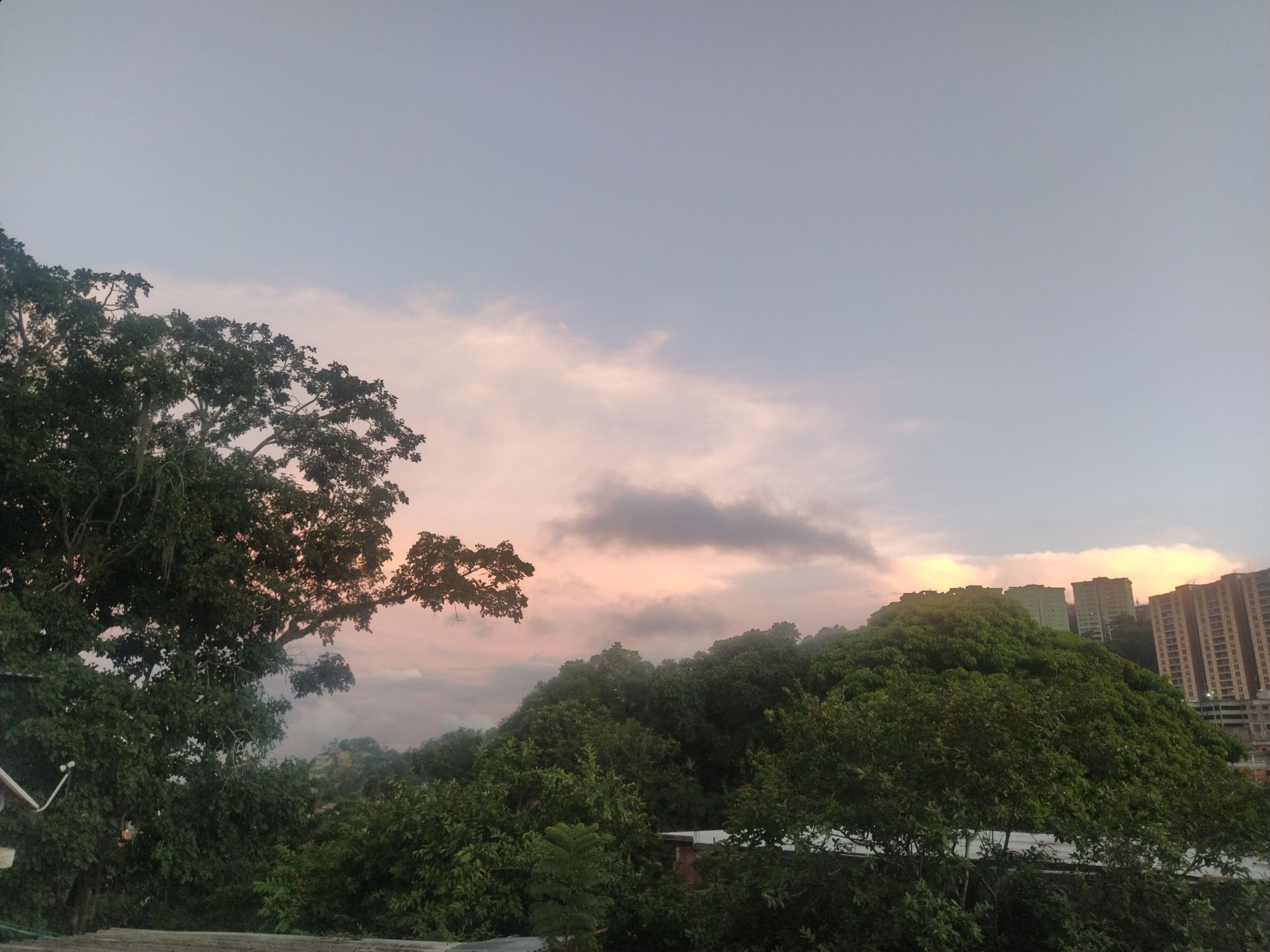 IMG_20210808_185555.jpg