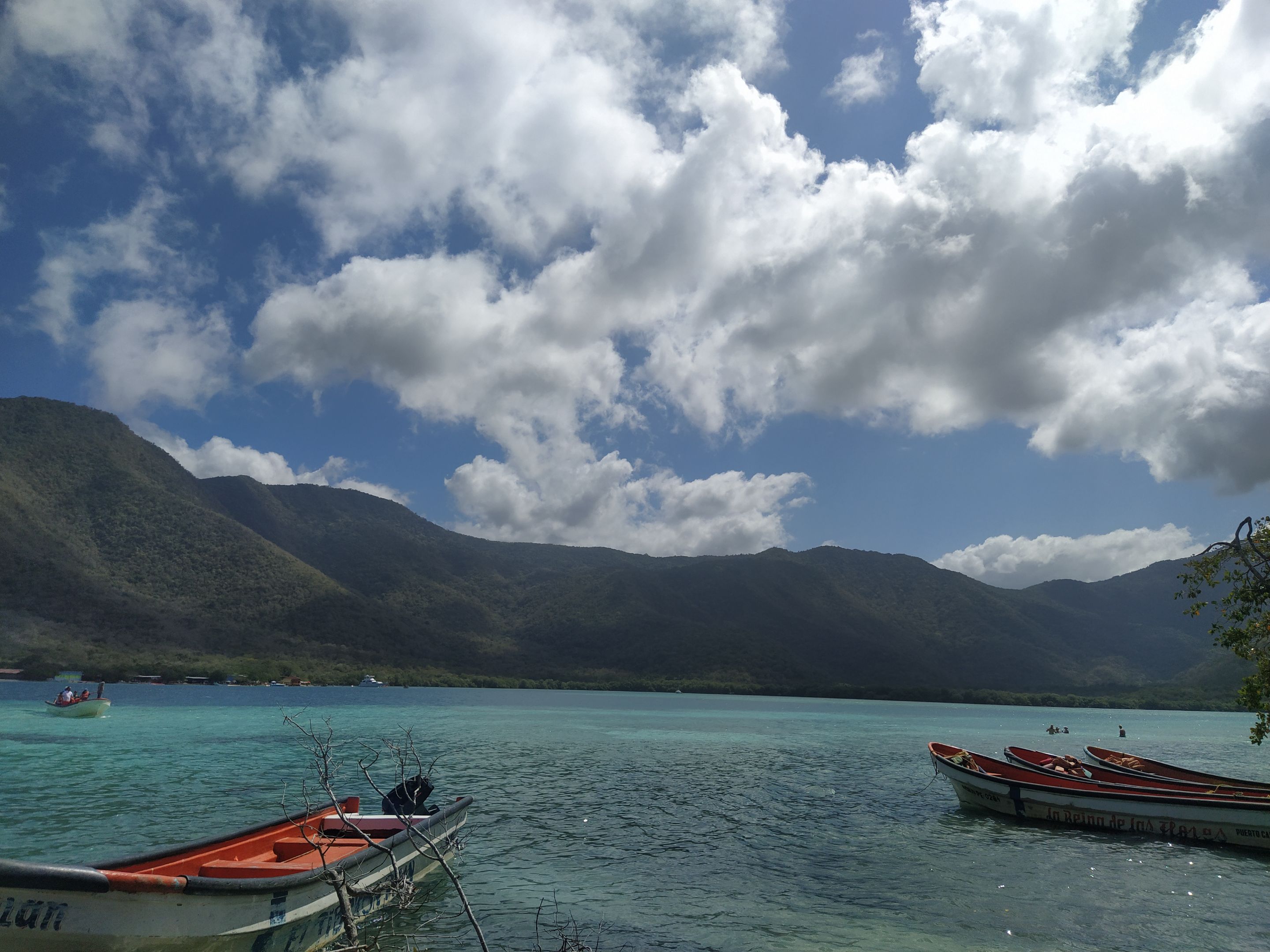 IMG_20220108_122623.jpg