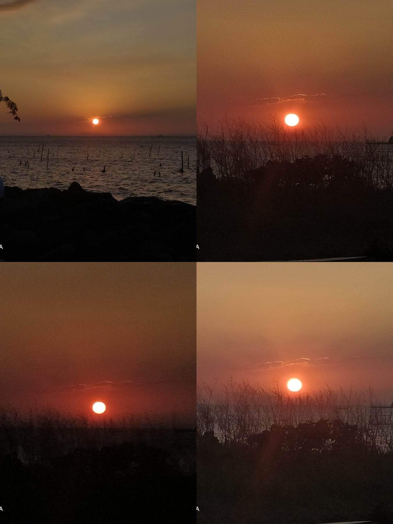 C2742A3F-22CE-40AB-A3A5-D083FE4BD027.jpeg