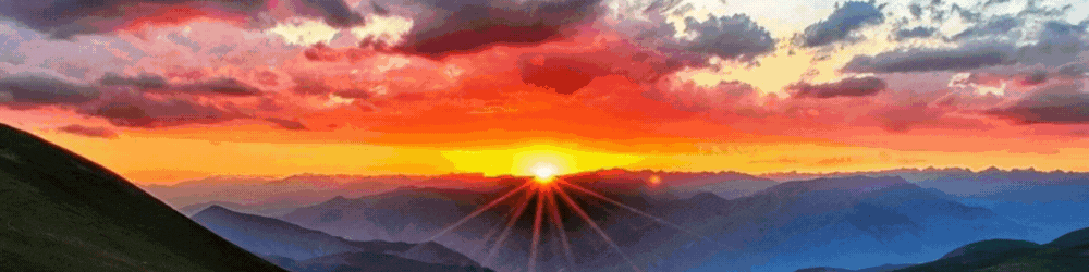 @fireguardian.spt banner.gif