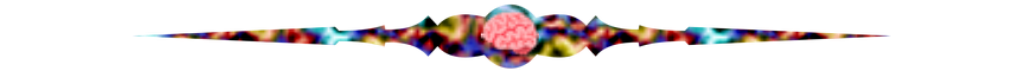 barra POB.png