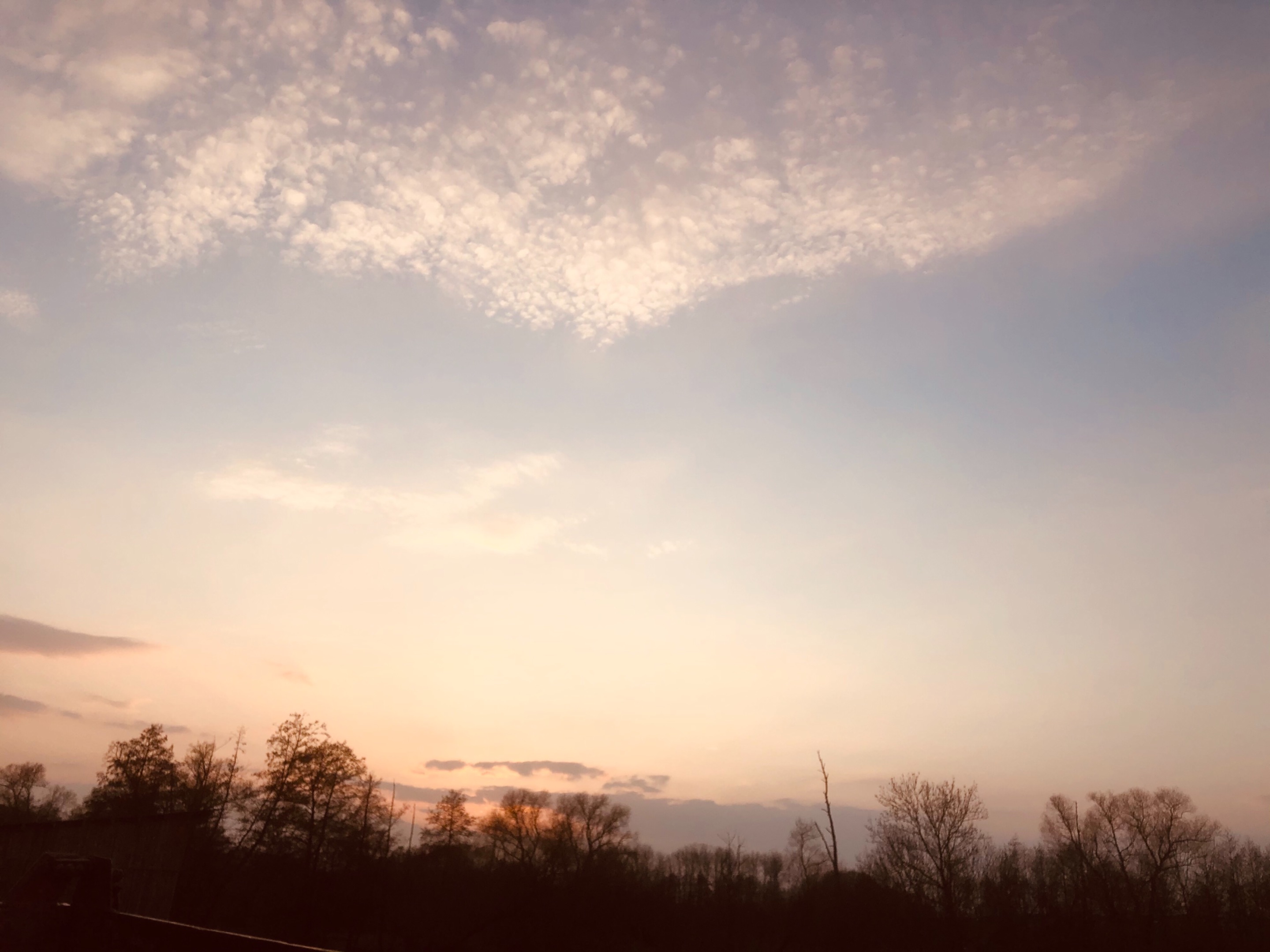 30067E47-5A11-4126-B06E-02B02B76FD04.jpeg