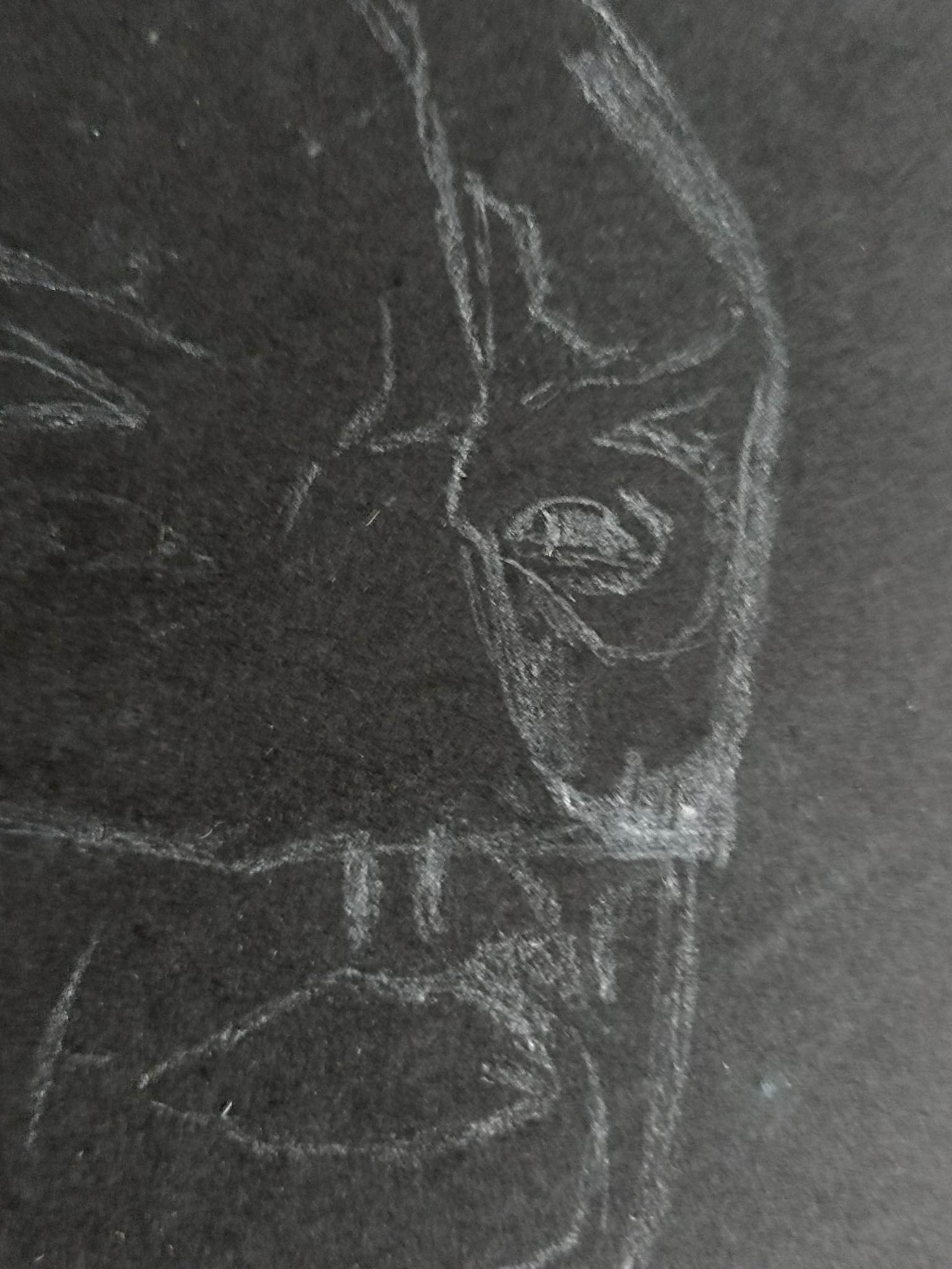 333356997_765830808062880_2820065476121249108_n.jpg