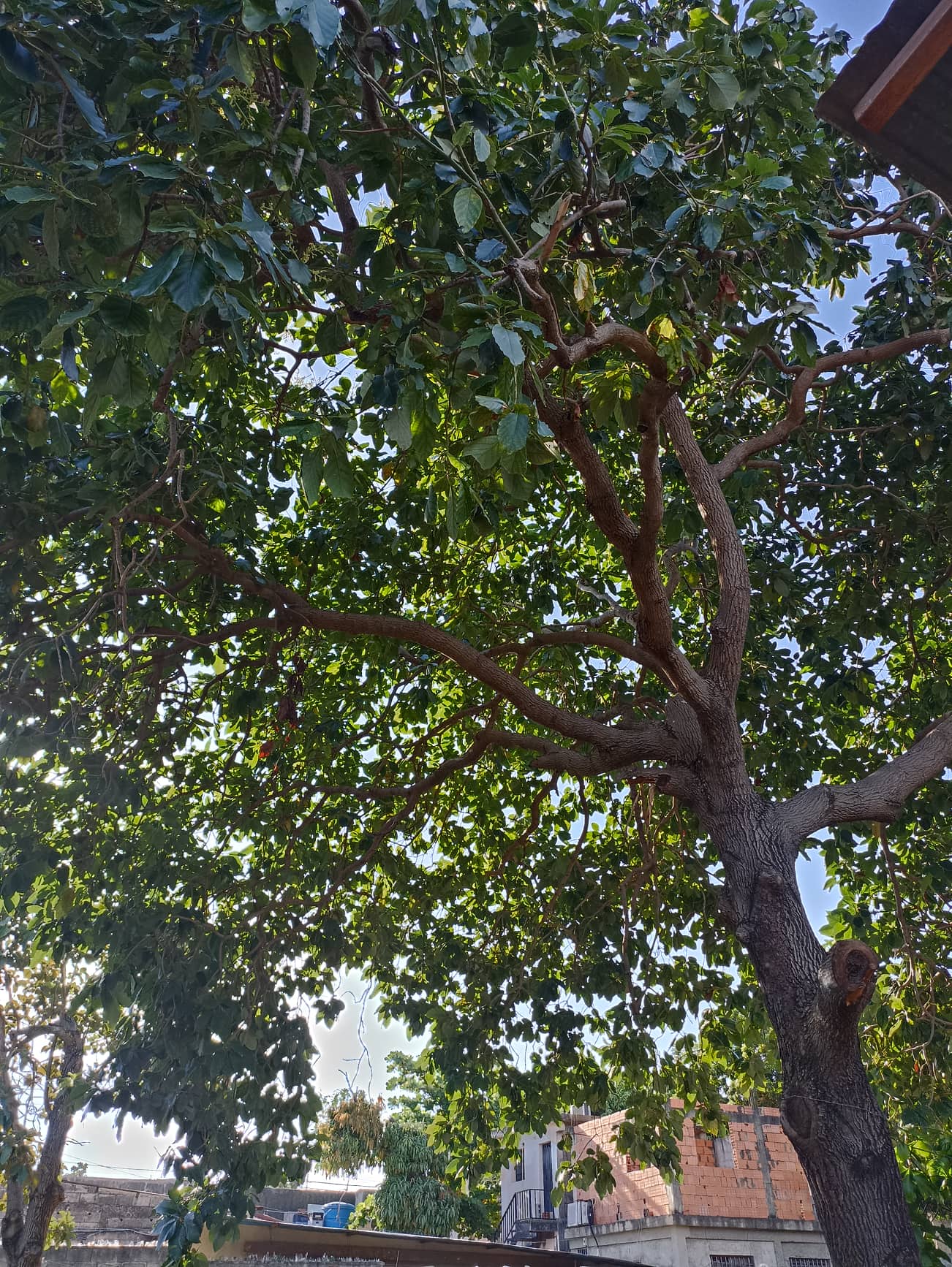 312349100_657651225976331_7137717622491104074_n.jpg