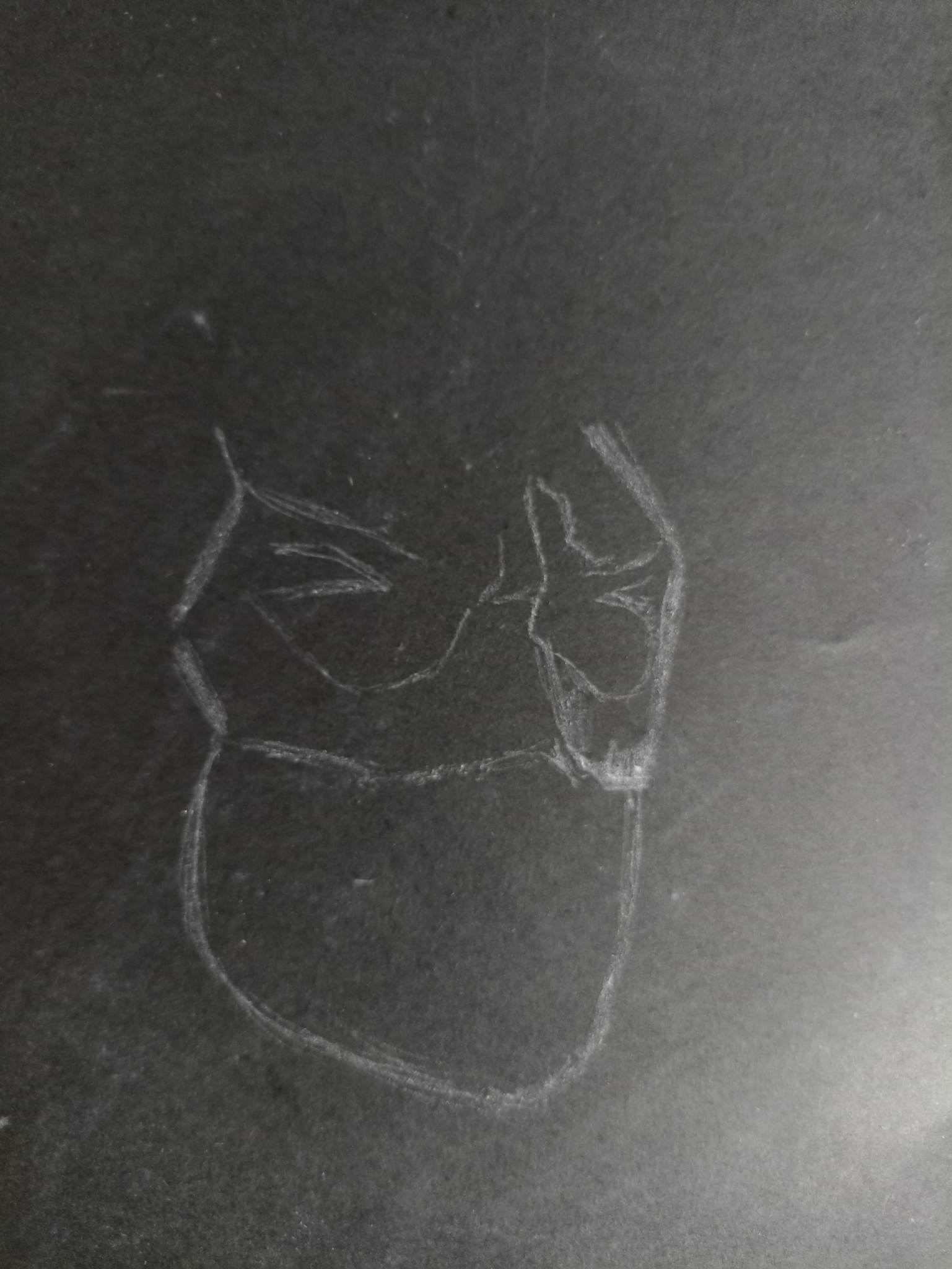 333329215_1956908058003293_1657653238313369087_n.jpg