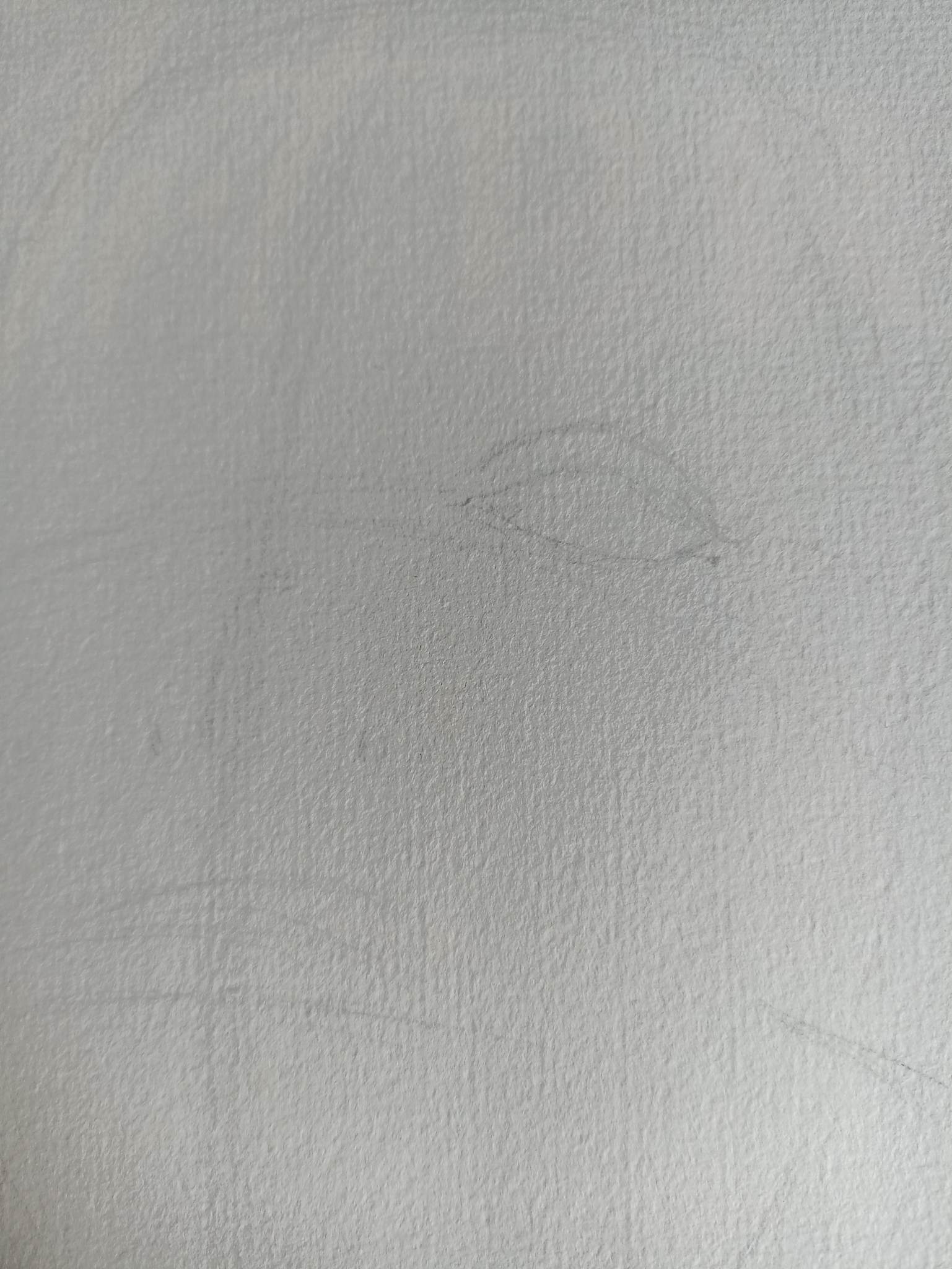 315518168_3306957436258226_8550060945206116944_n.jpg