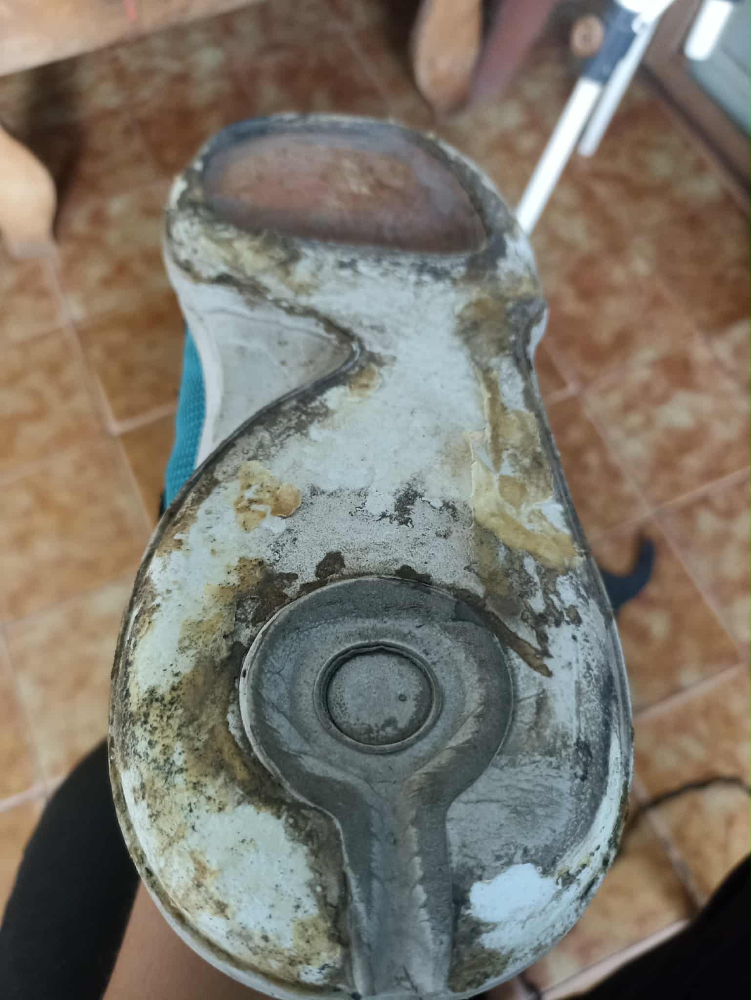 Sin título7.jpg