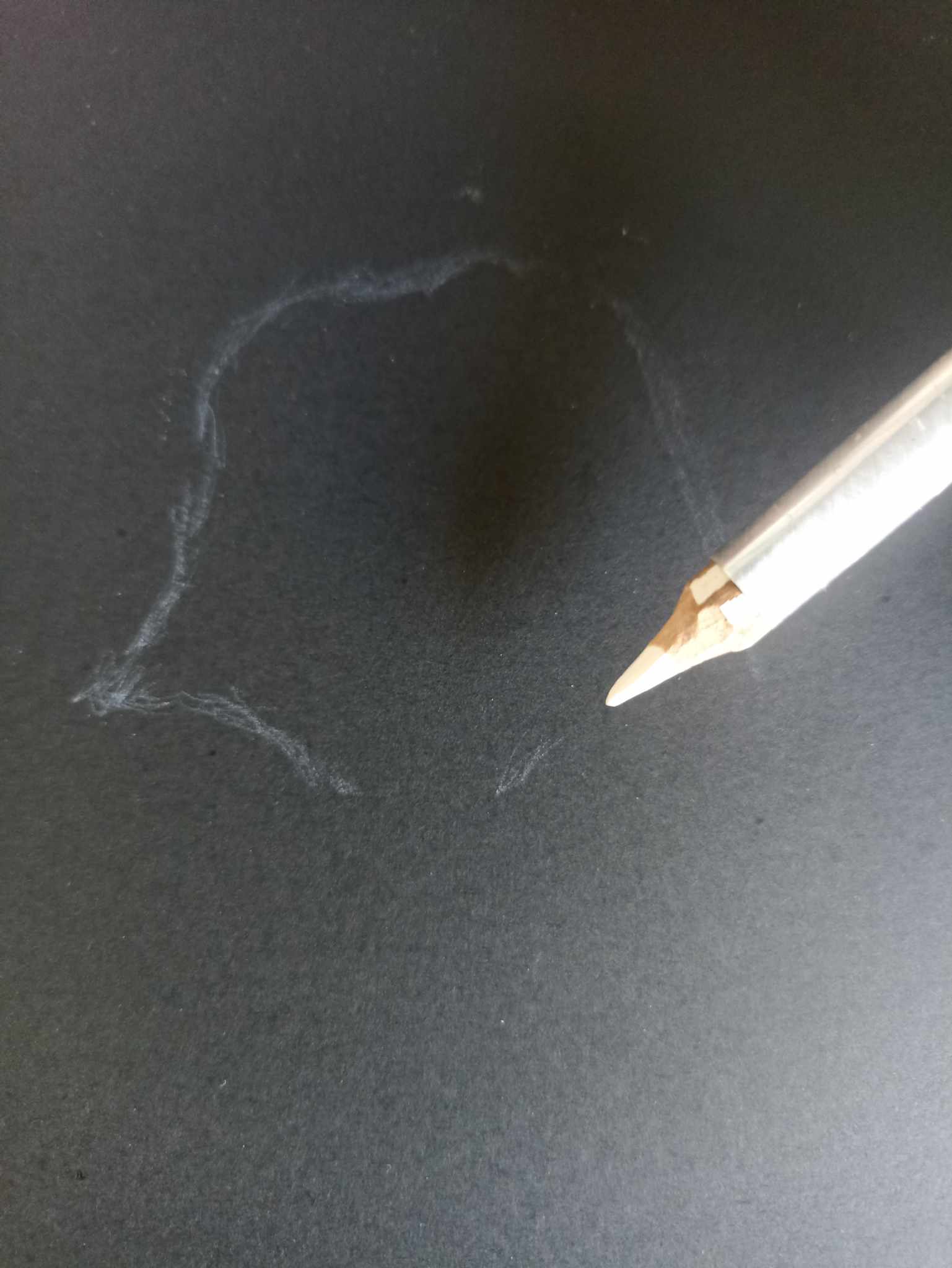Sin título2.jpg