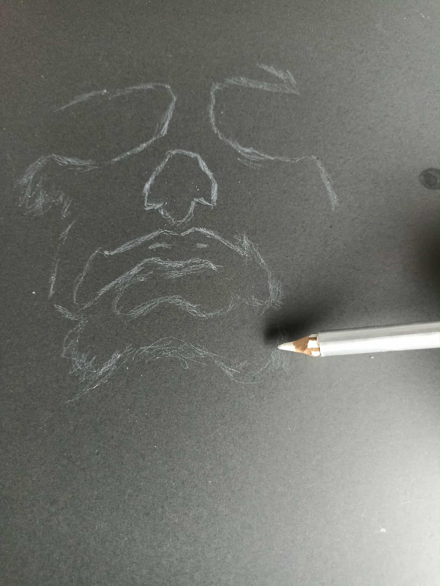 Sin título4.jpg