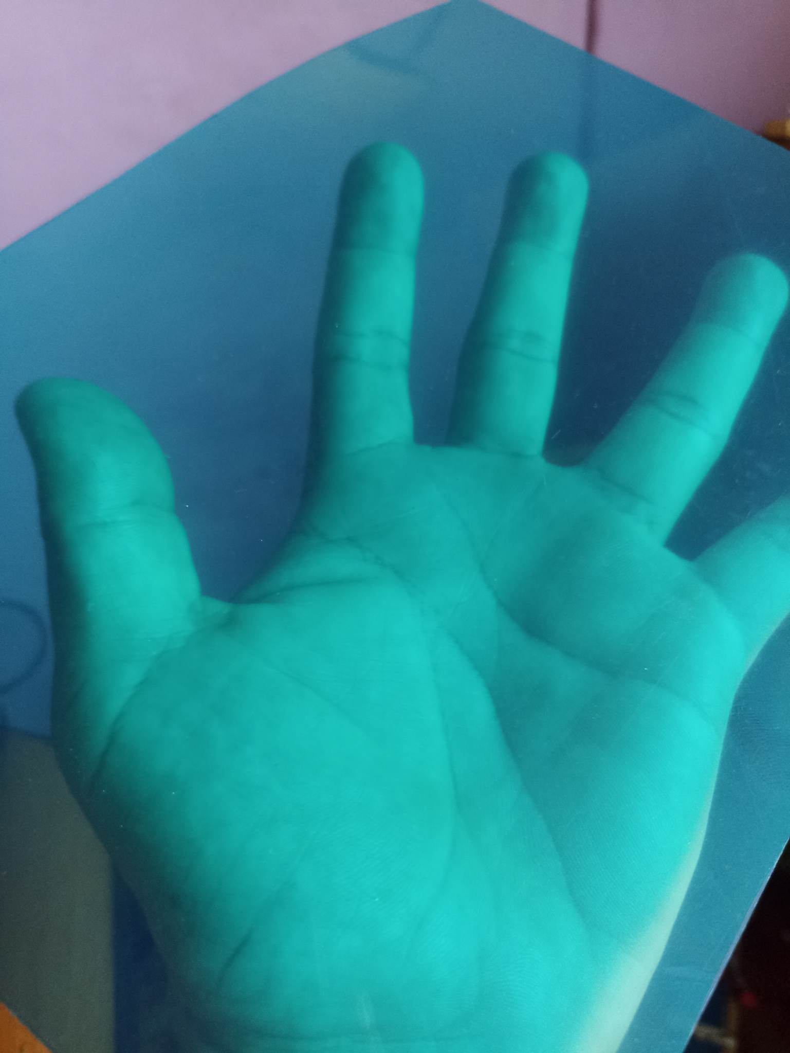 343853631_274085104994125_1078453599370193285_n.jpg