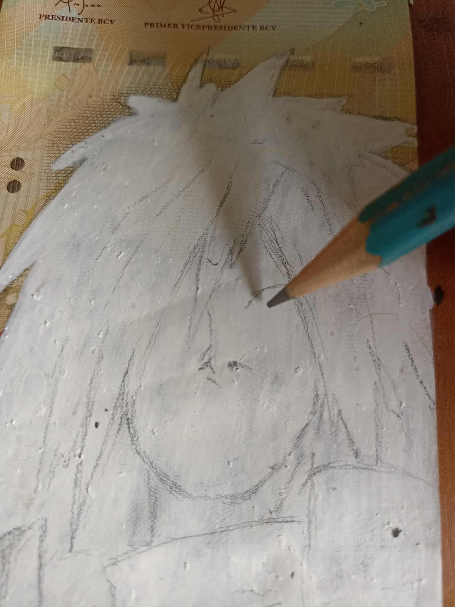 Sin título2.jpg