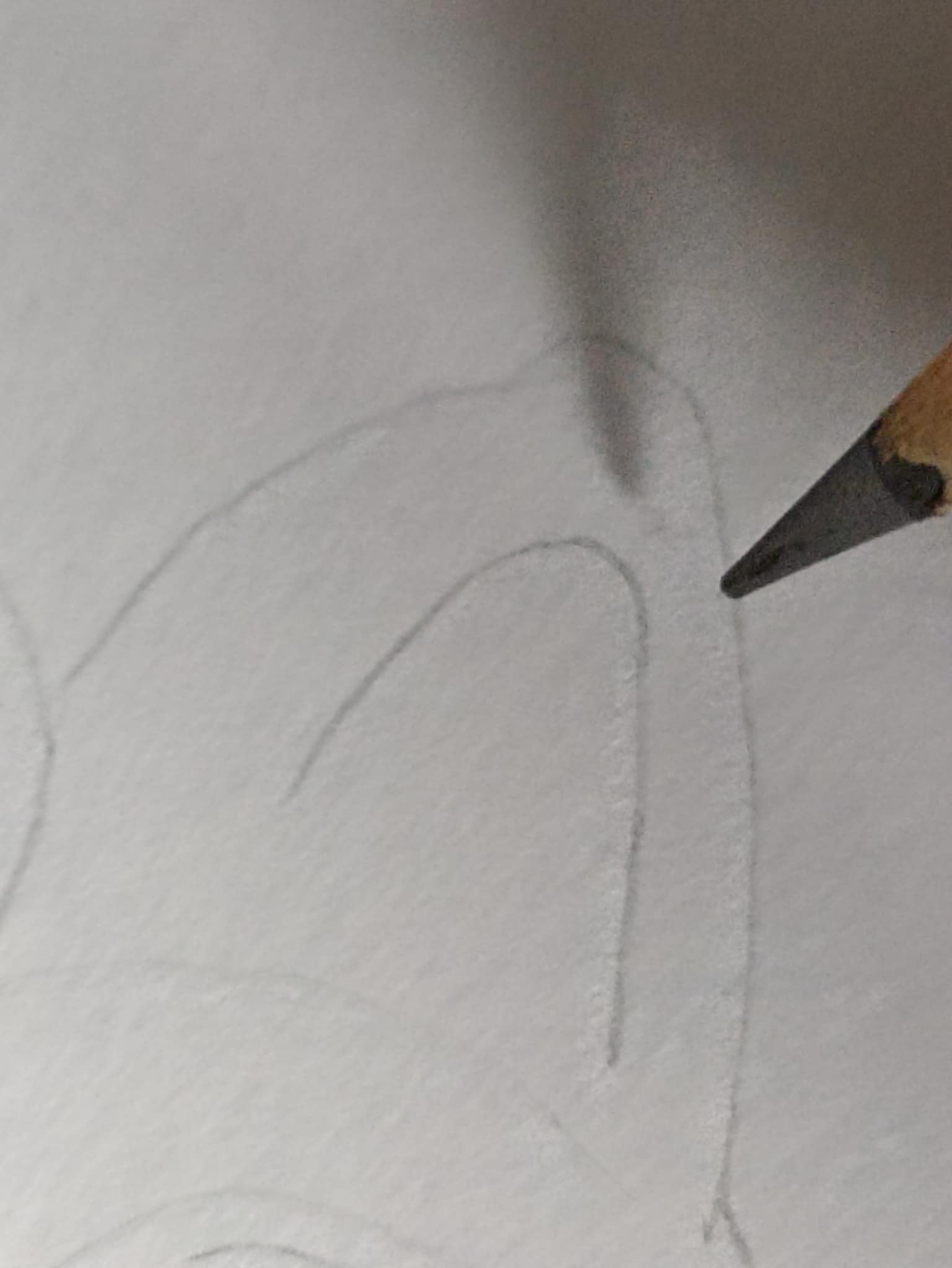 Sin título3.jpg