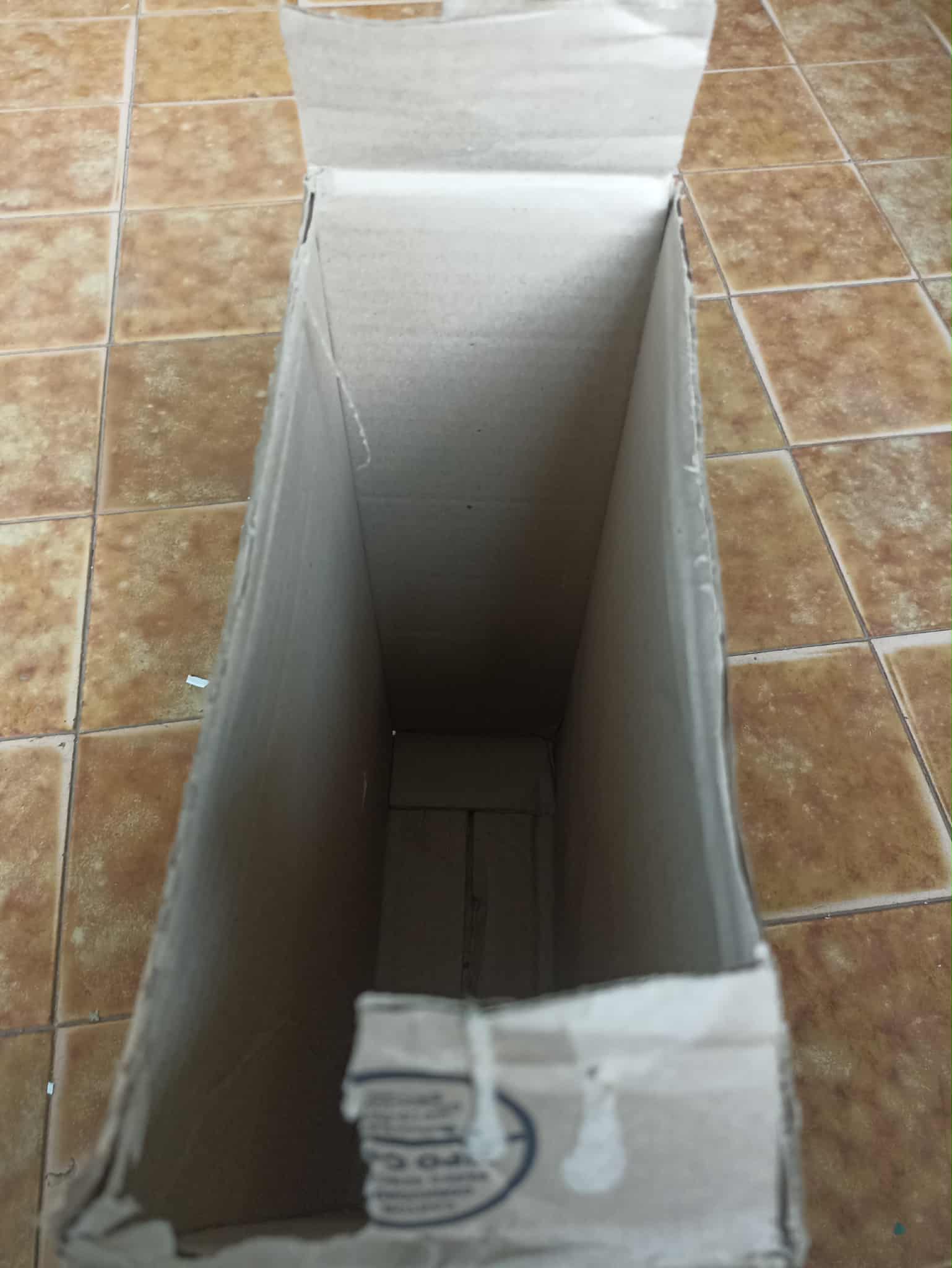 Sin título2.jpg