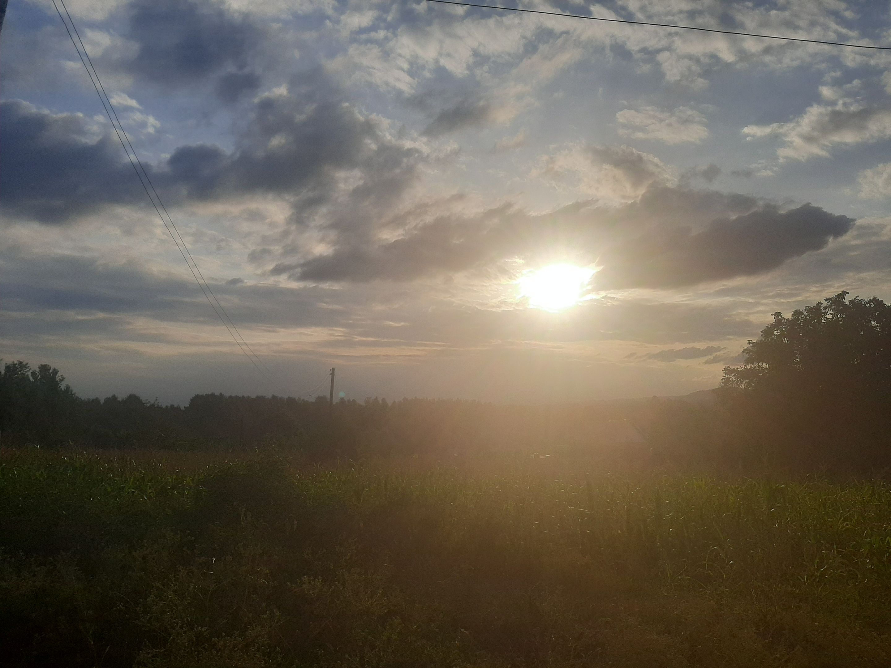 20220629_174628.jpg