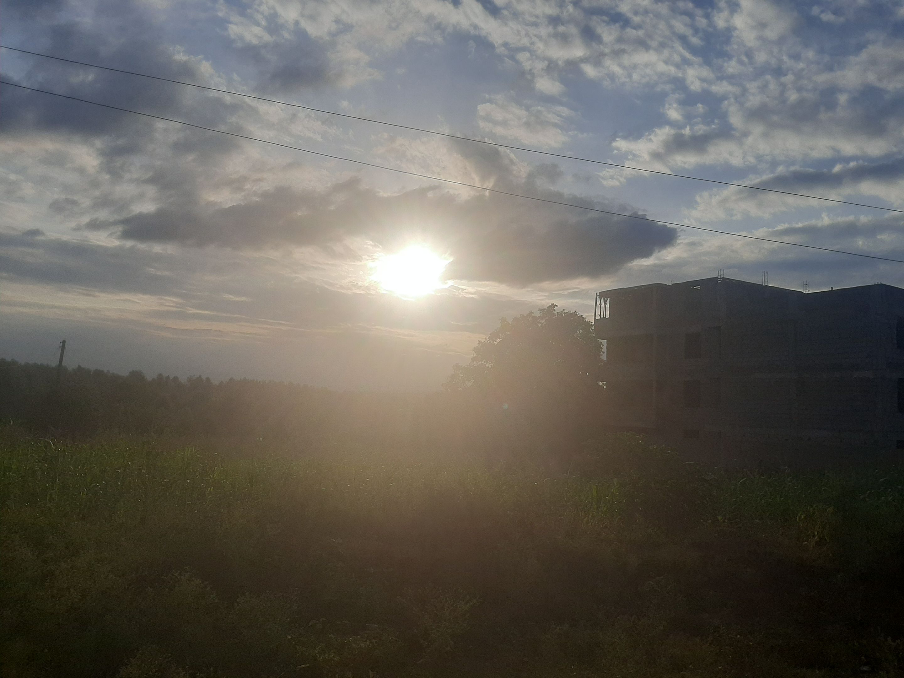 20220629_174606.jpg