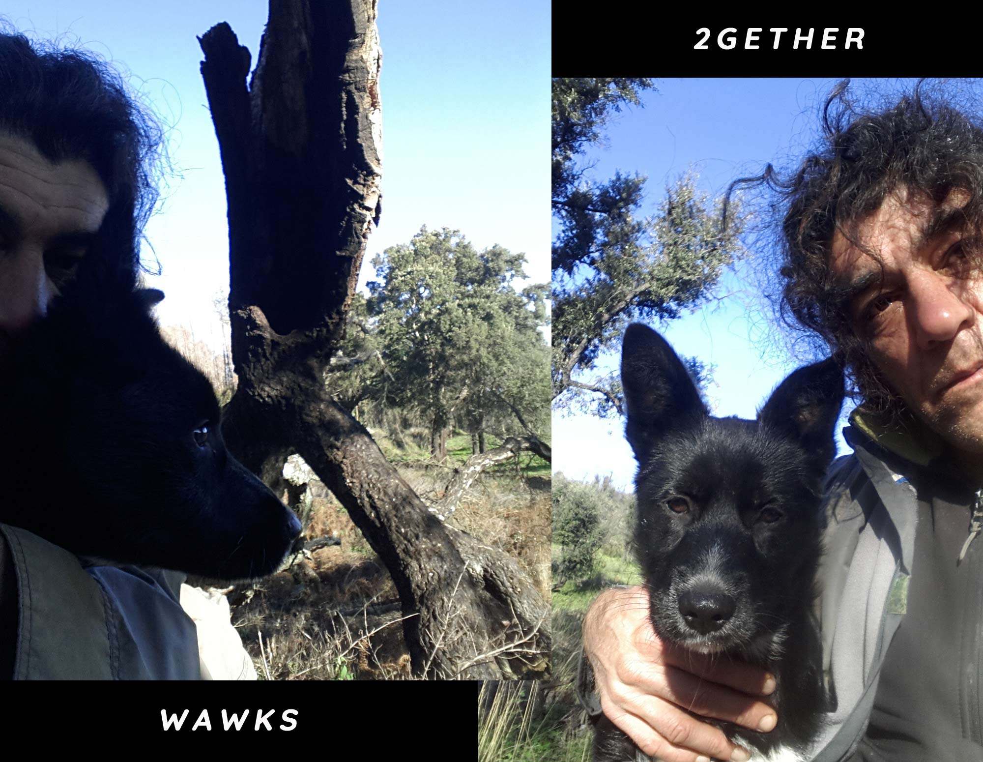 13-wawks1.jpg