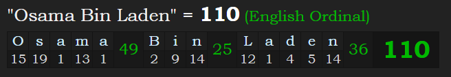 110 Osama Bin Laden.PNG