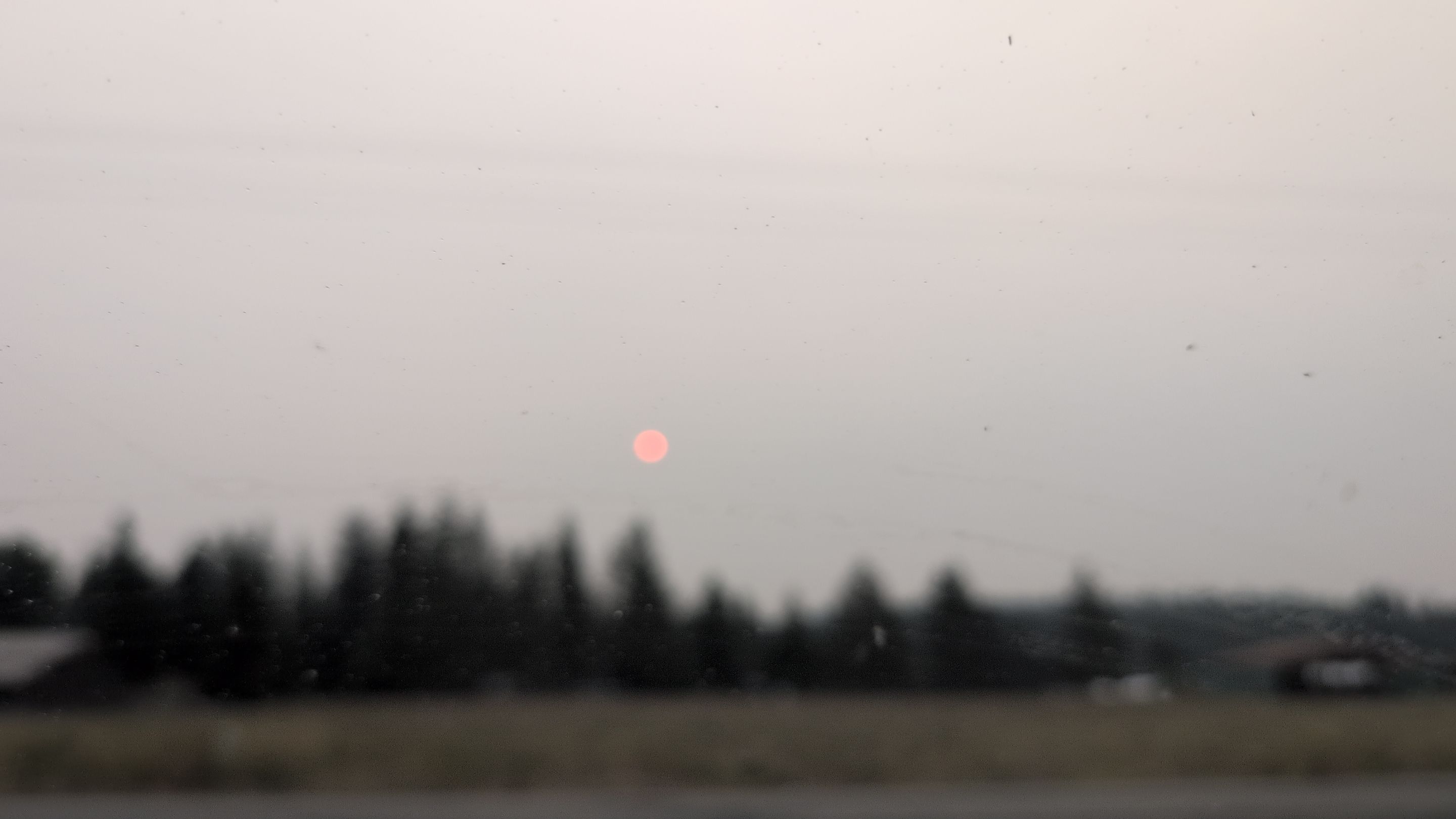 IMG_20250905_073135.jpg