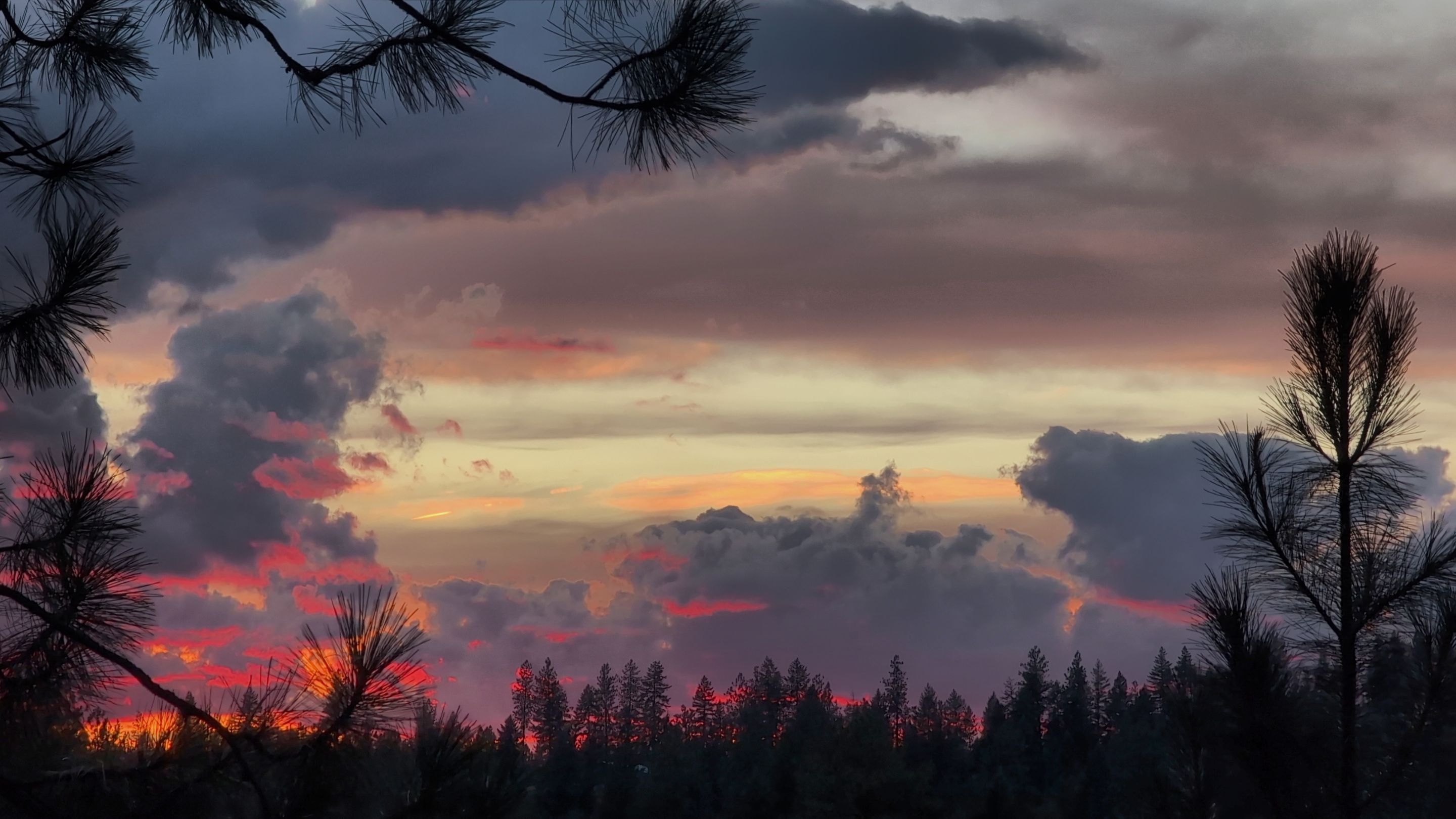 IMG_20250816_200300_HDR.jpg