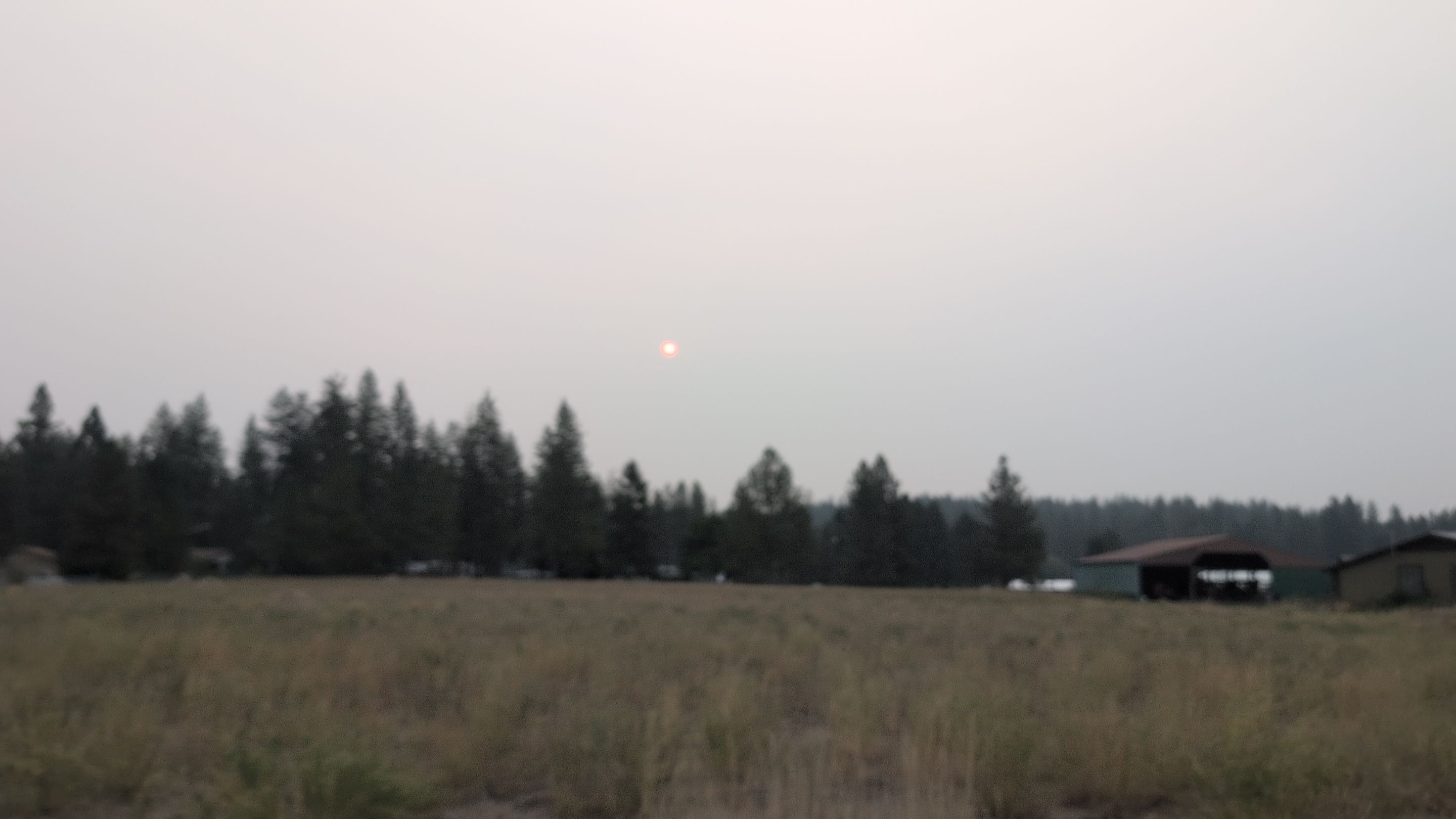 IMG_20250905_073143.jpg